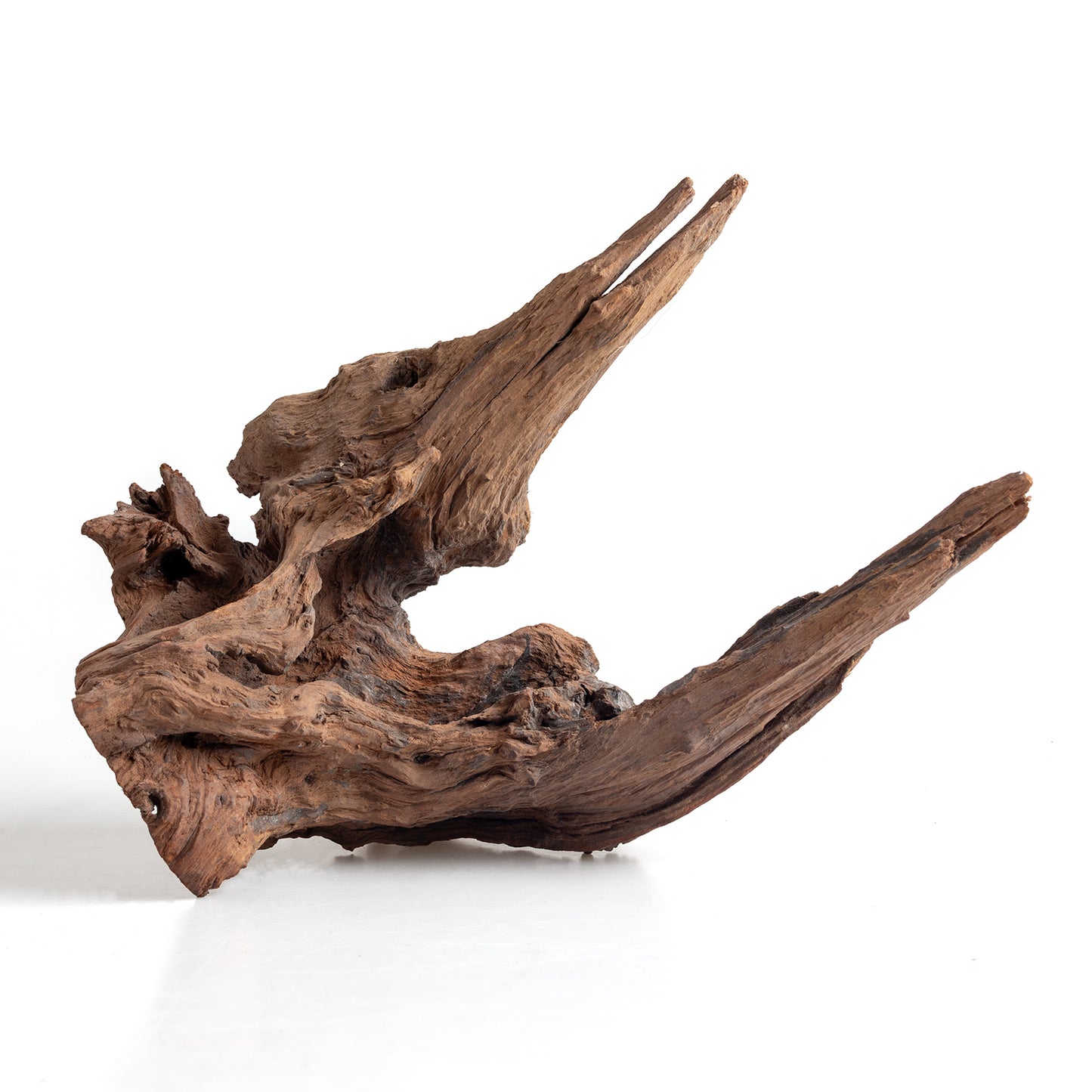 WYSIWYG Premium Natural Driftwood for Aquascaping – Exact Piece Shown A4