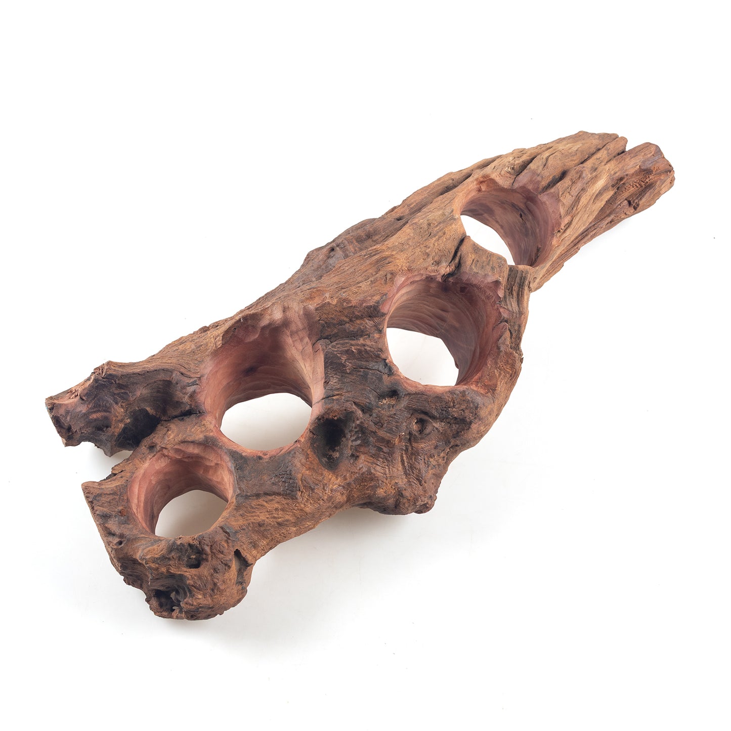 WYSIWYG Premium Natural Driftwood for Aquascaping – Exact Piece Shown A8