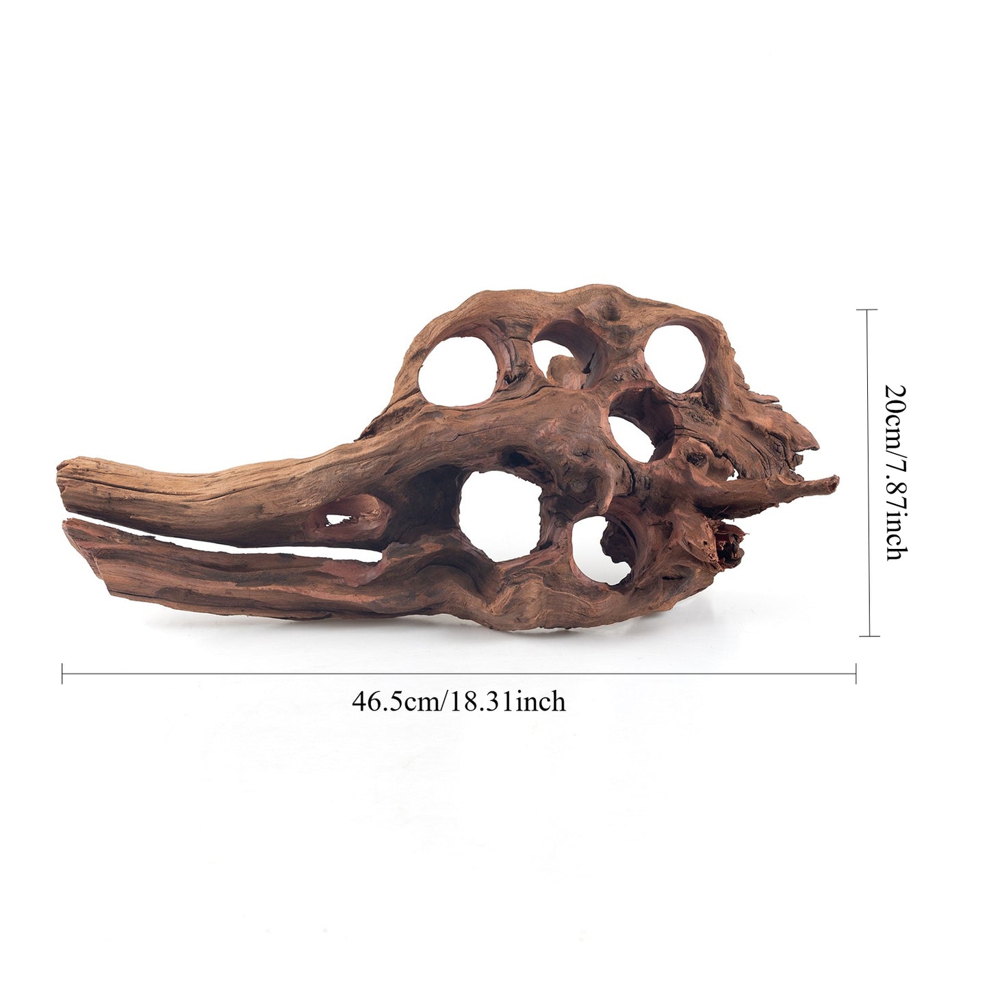 WYSIWYG Premium Natural Driftwood for Aquascaping – Exact Piece Shown A9