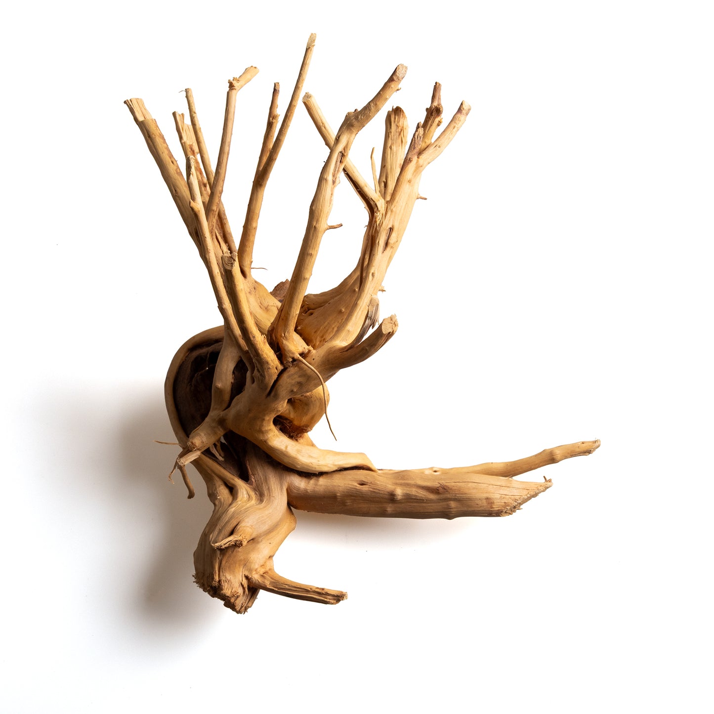 Natural Wood Root Driftwood for Aquariums & Terrariums – Random Unique Shape, 3 Sizes