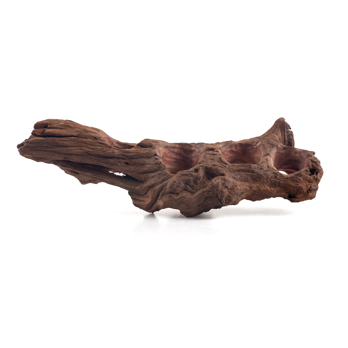 WYSIWYG Premium Natural Driftwood for Aquascaping – Exact Piece Shown A8