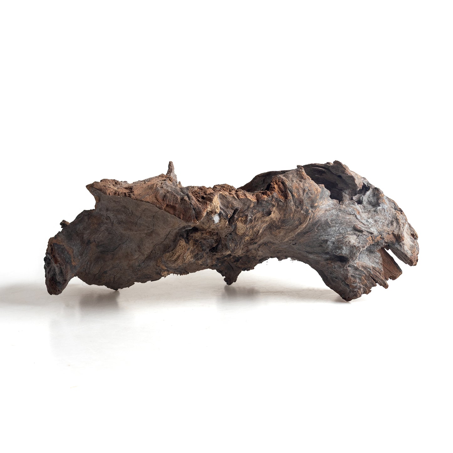 WYSIWYG Premium Natural Driftwood for Aquascaping – Exact Piece Shown A14