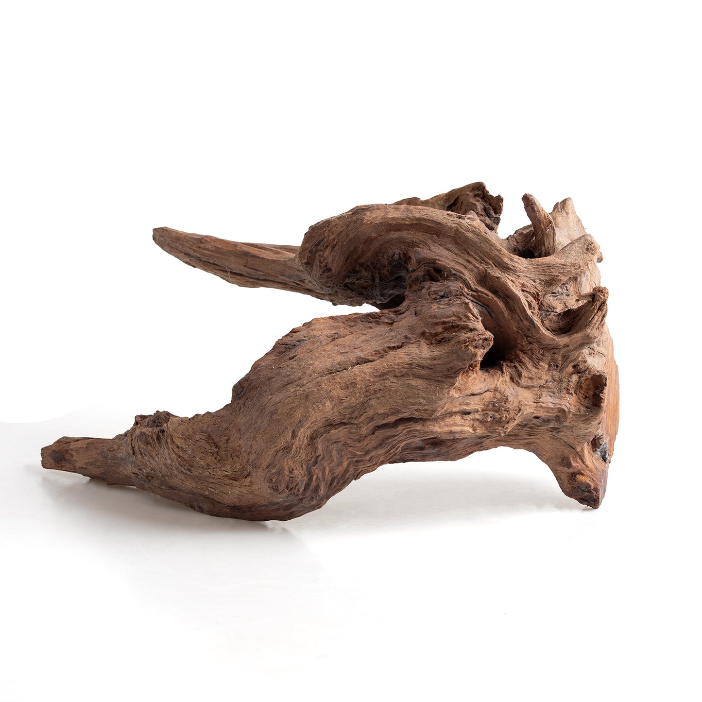 WYSIWYG Premium Natural Driftwood for Aquascaping – Exact Piece Shown A4