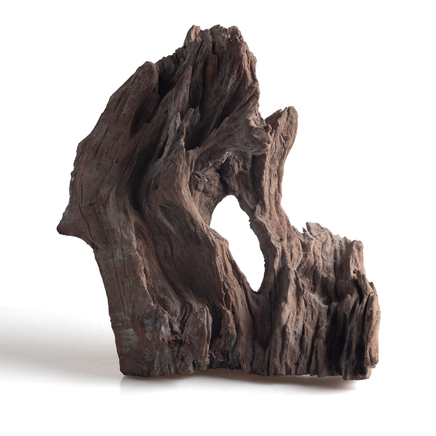 WYSIWYG Premium Natural Driftwood for Aquascaping – Exact Piece Shown A11