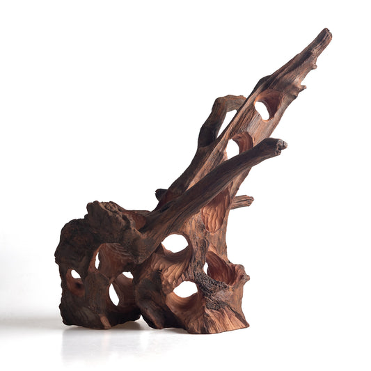 WYSIWYG Premium Natural Driftwood for Aquascaping – Exact Piece Shown A17