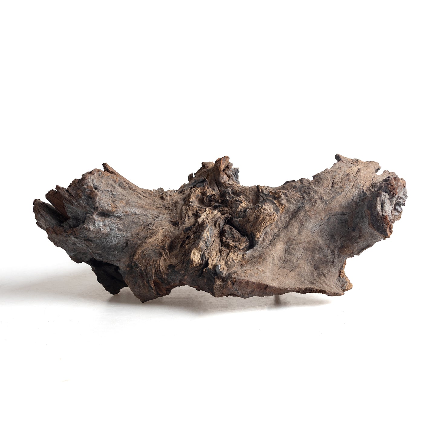 WYSIWYG Premium Natural Driftwood for Aquascaping – Exact Piece Shown A14