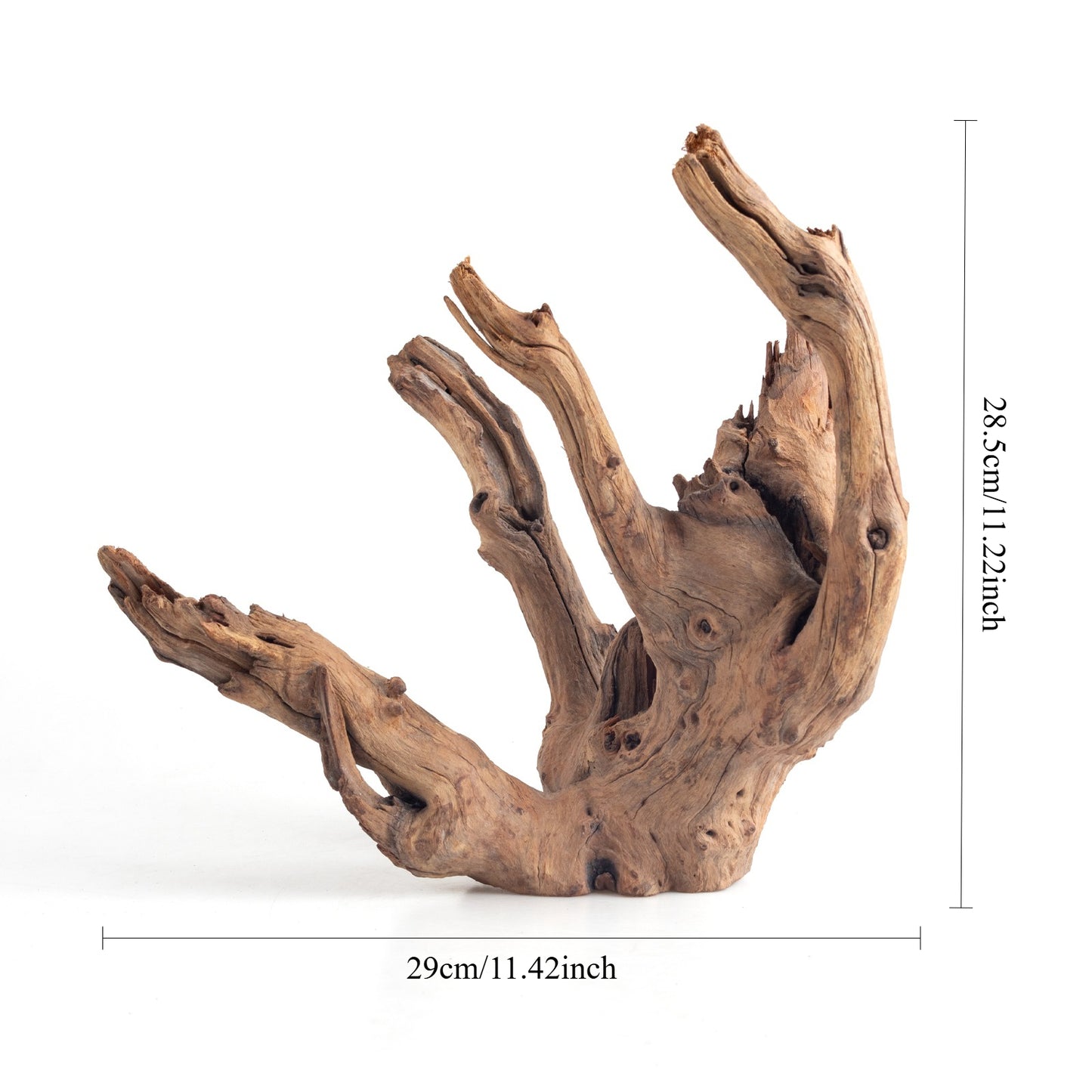 WYSIWYG Premium Natural Driftwood for Aquascaping – Exact Piece Shown A3