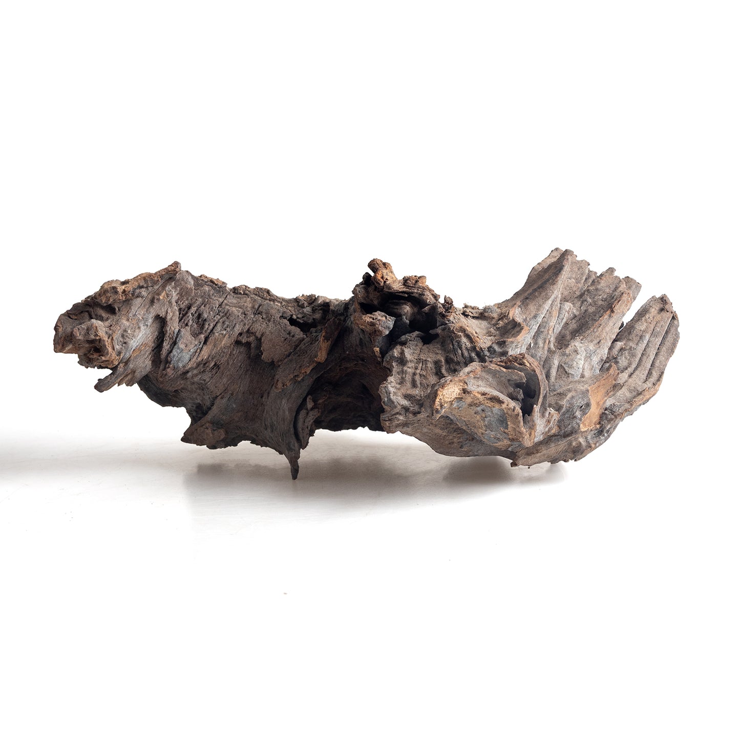WYSIWYG Premium Natural Driftwood for Aquascaping – Exact Piece Shown A14