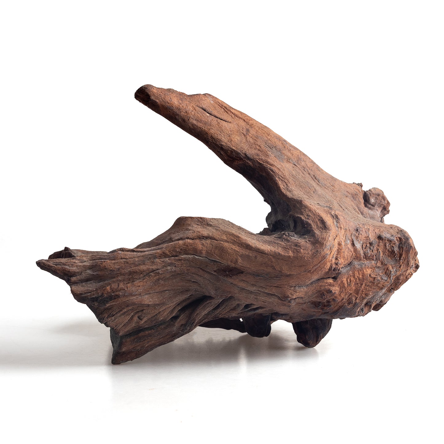 WYSIWYG Premium Natural Driftwood for Aquascaping – Exact Piece Shown A15