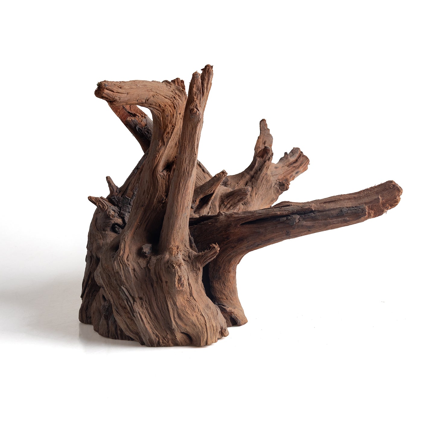 WYSIWYG Premium Natural Driftwood for Aquascaping – Exact Piece Shown A13