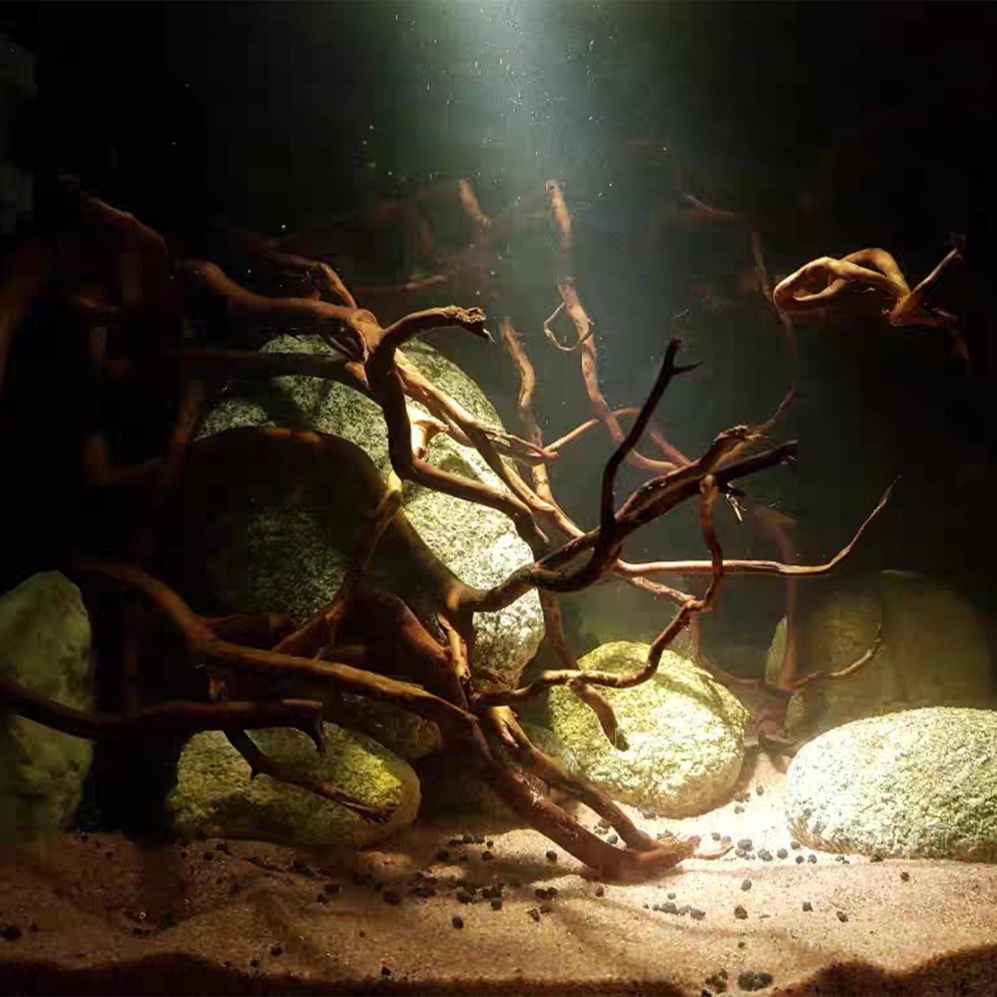 Natural Wood Root Branches, 6 oz / 170 g Aquarium Driftwood Set, 8–16 Inch Roots & Branches for Aquascaping and Terrariums