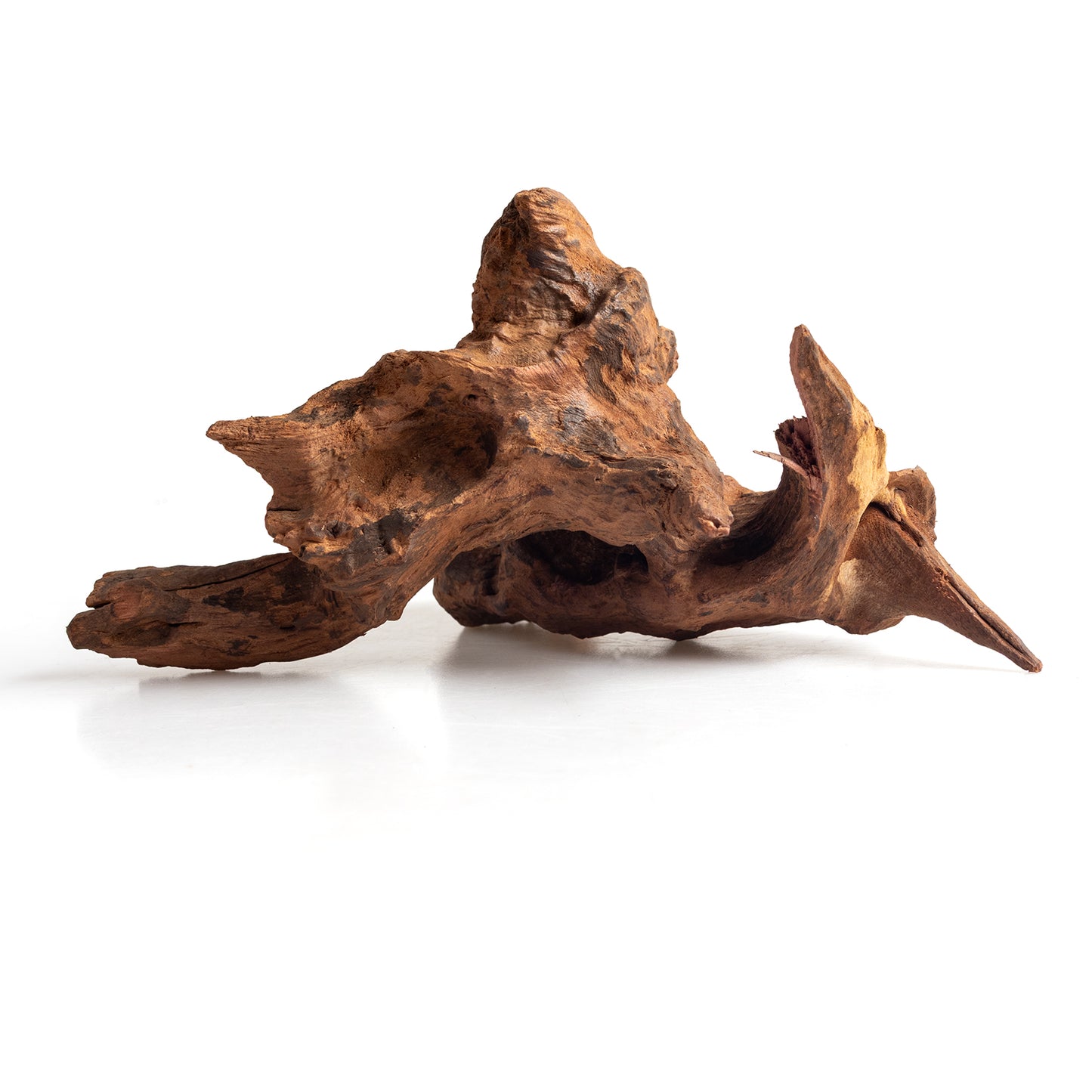 Small Natural Driftwood 5-Pack, 4–6 Inch Aquarium Wood for Aquascaping, Fish Tanks & Terrariums