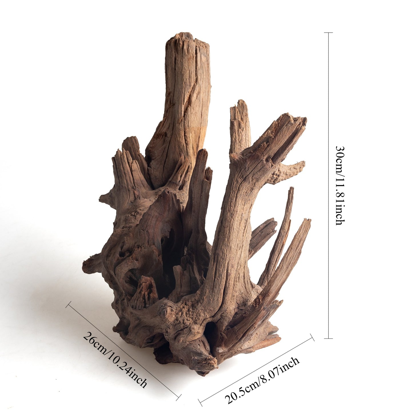 WYSIWYG Premium Natural Driftwood for Aquascaping – Exact Piece Shown A16