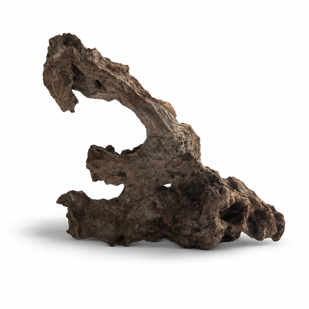 Natural Multiayer Wood – Unique Driftwood for Aquarium Aquascaping, Terrarium & Reptile Habitat Decor