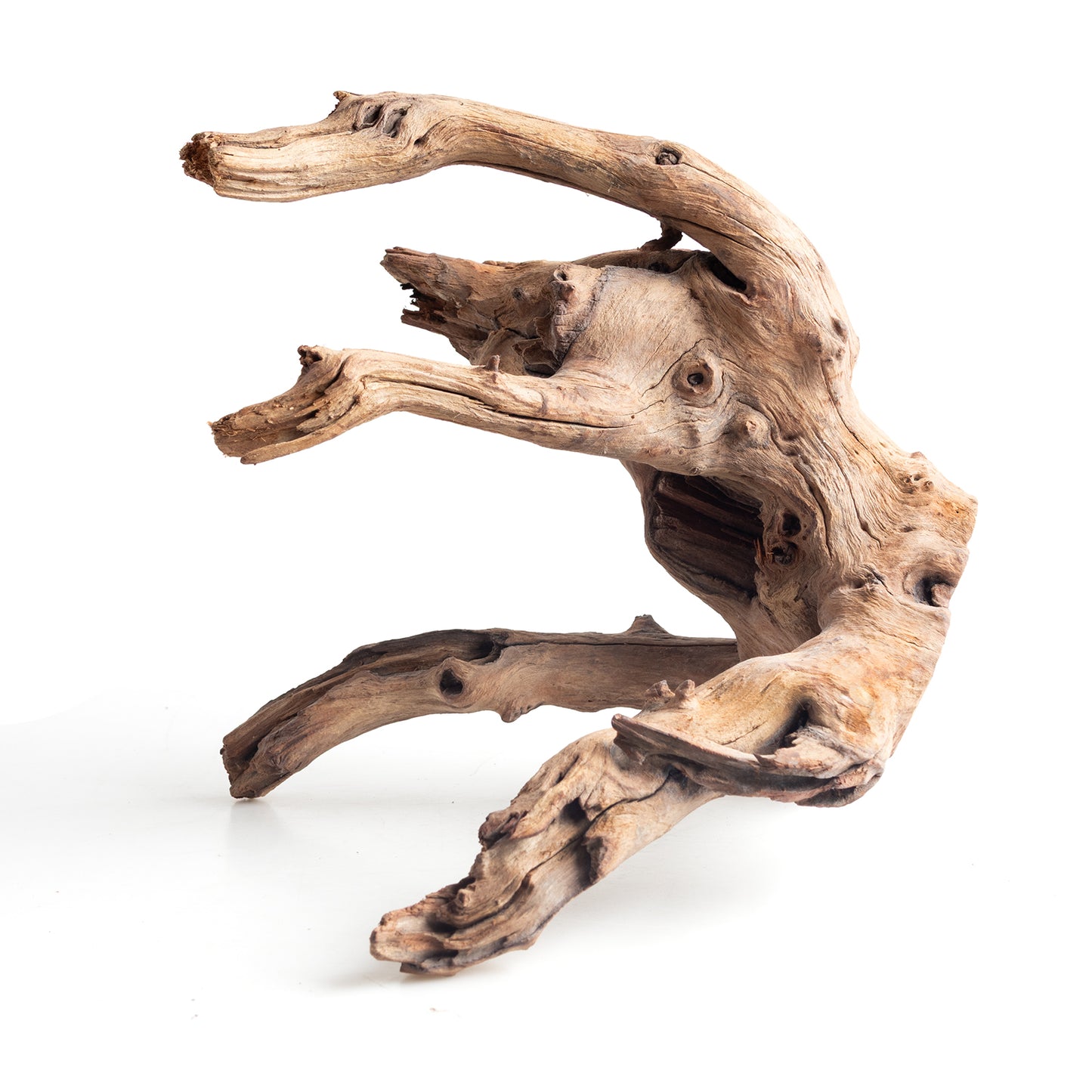 WYSIWYG Premium Natural Driftwood for Aquascaping – Exact Piece Shown A3