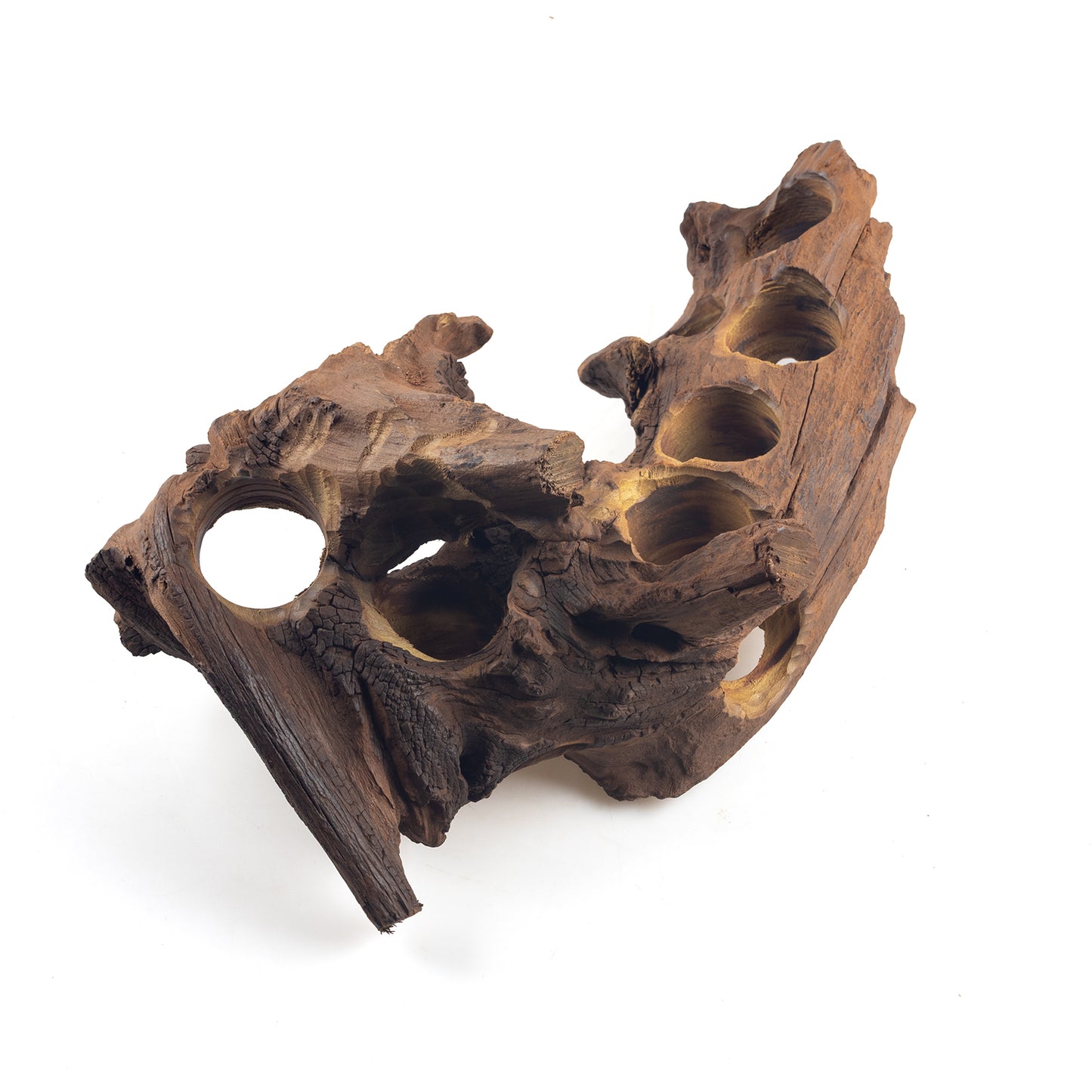 WYSIWYG Premium Natural Driftwood for Aquascaping – Exact Piece Shown A5