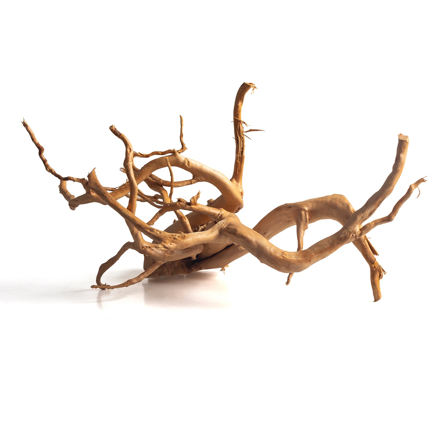Natural Spider Wood Driftwood for Aquariums & Terrariums – Random Shape, 3 Sizes