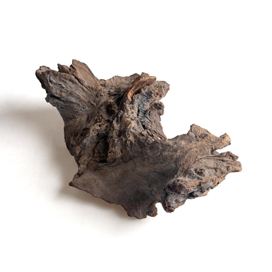 WYSIWYG Premium Natural Driftwood for Aquascaping – Exact Piece Shown A14