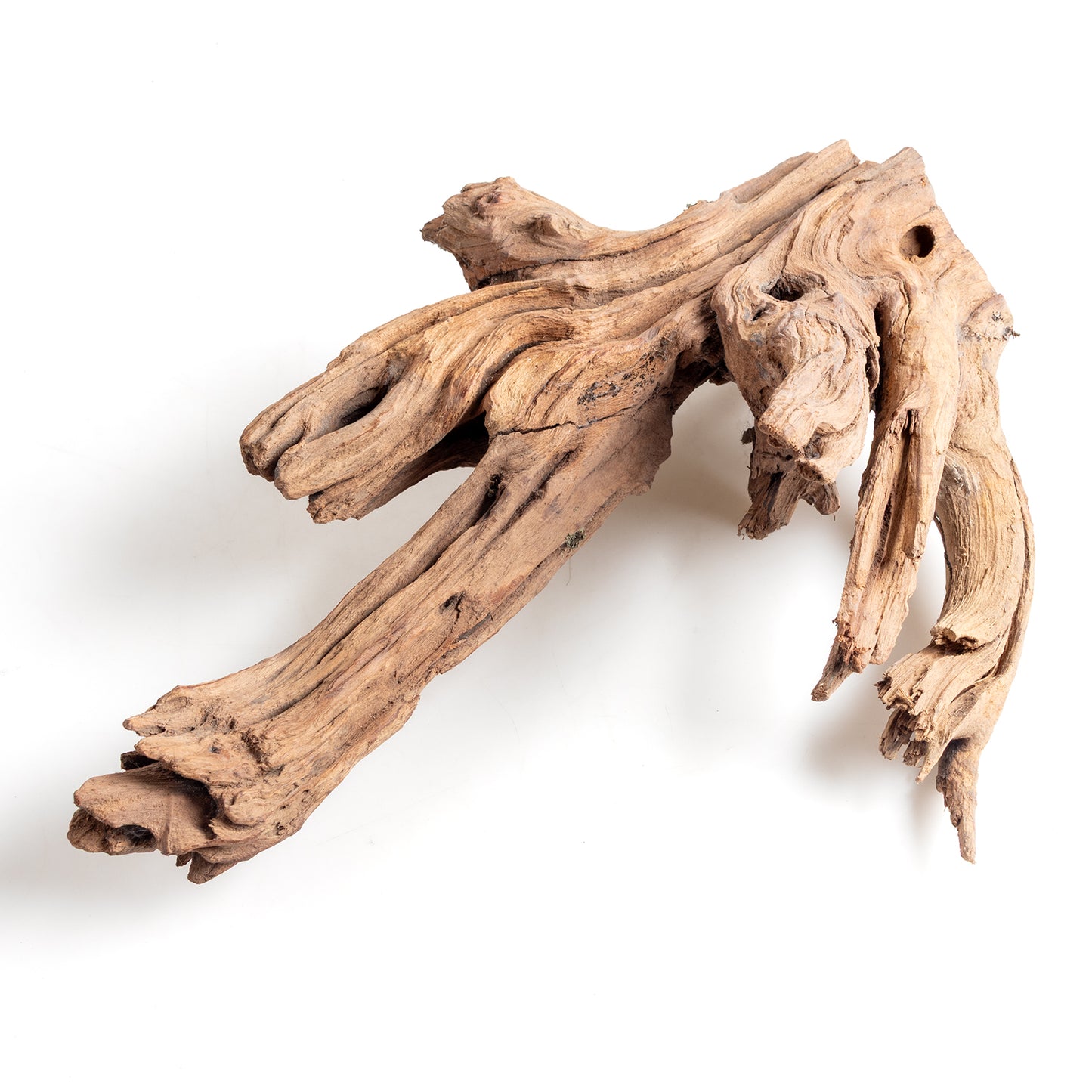WYSIWYG Premium Natural Driftwood for Aquascaping – Exact Piece Shown A2