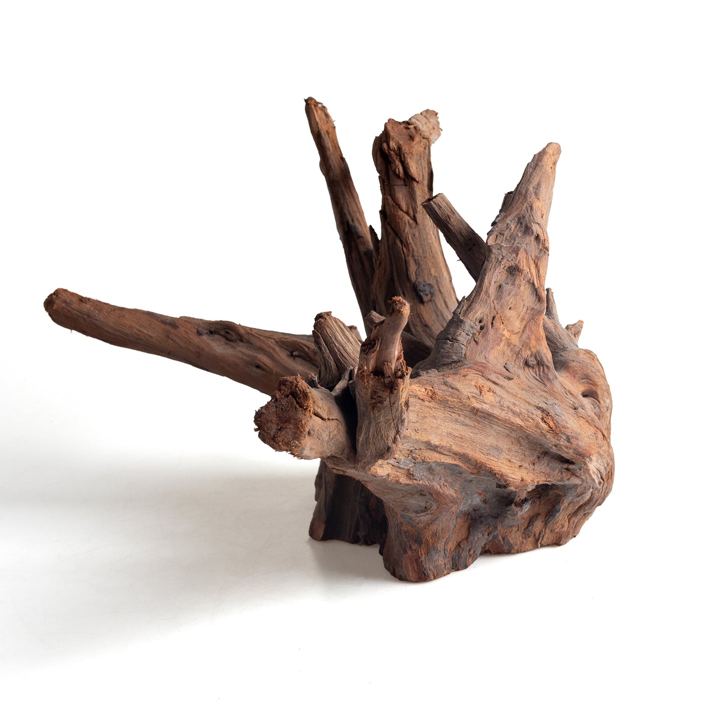 WYSIWYG Premium Natural Driftwood for Aquascaping – Exact Piece Shown A13