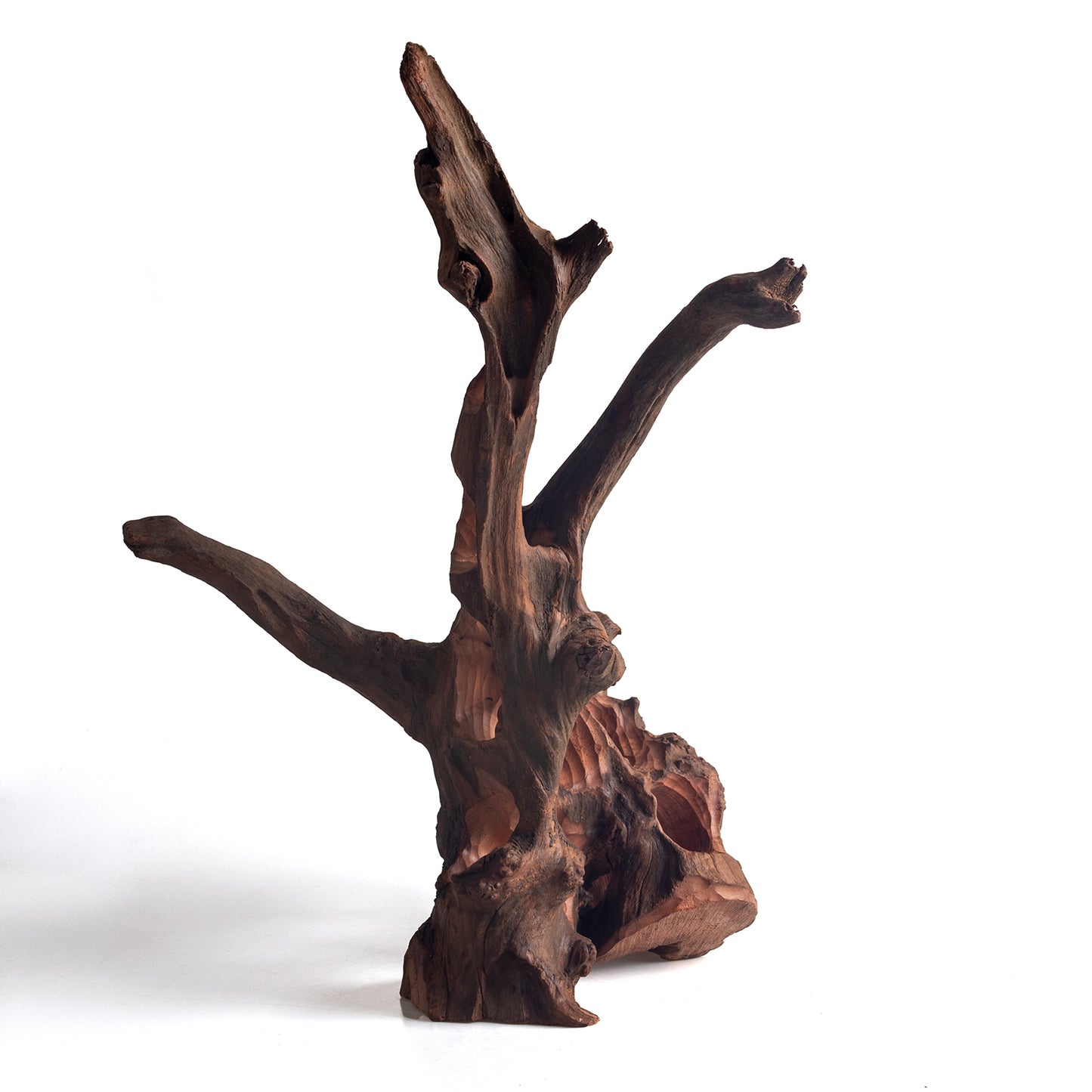 WYSIWYG Premium Natural Driftwood for Aquascaping – Exact Piece Shown A17