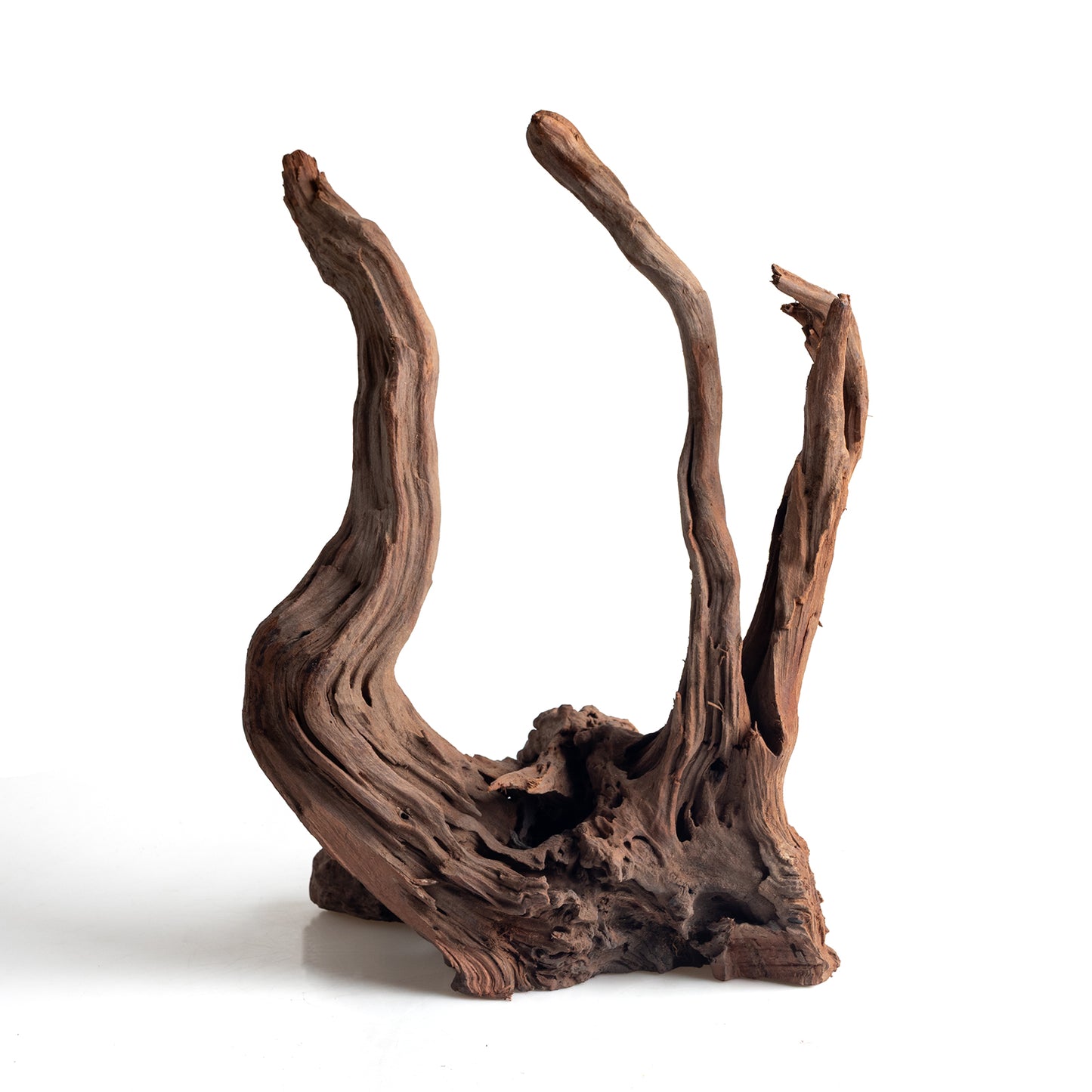WYSIWYG Premium Natural Driftwood for Aquascaping – Exact Piece Shown A6