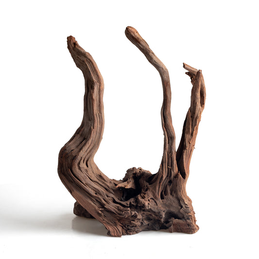 WYSIWYG Premium Natural Driftwood for Aquascaping – Exact Piece Shown A6