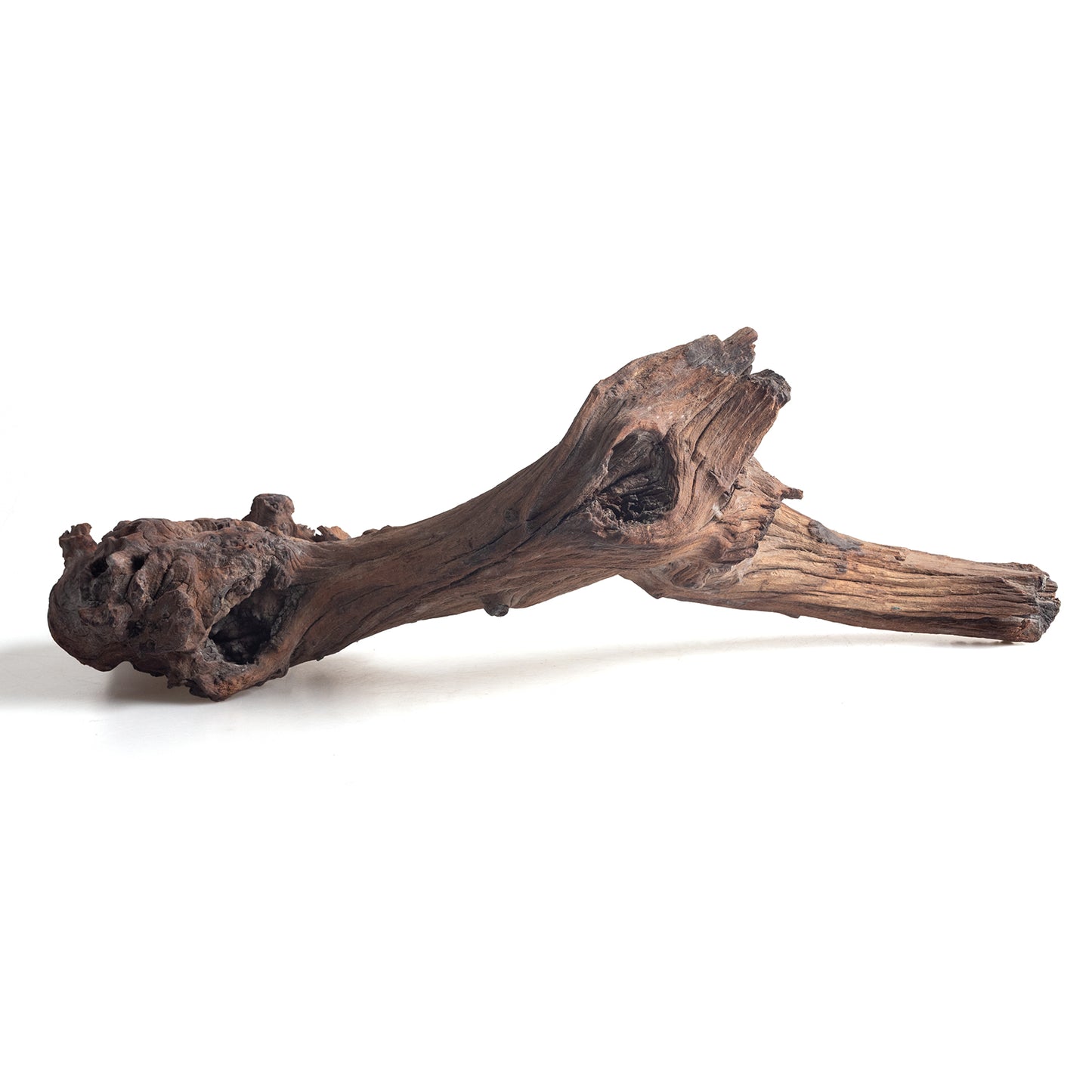WYSIWYG Premium Natural Driftwood for Aquascaping – Exact Piece Shown A12