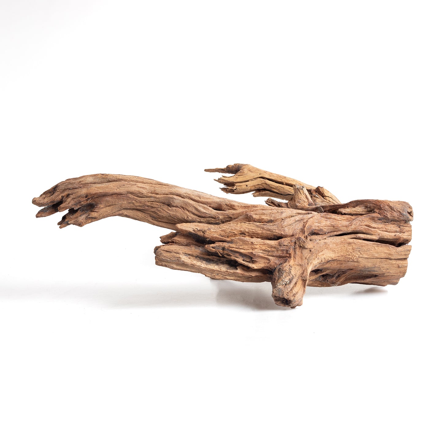 WYSIWYG Premium Natural Driftwood for Aquascaping – Exact Piece Shown A2