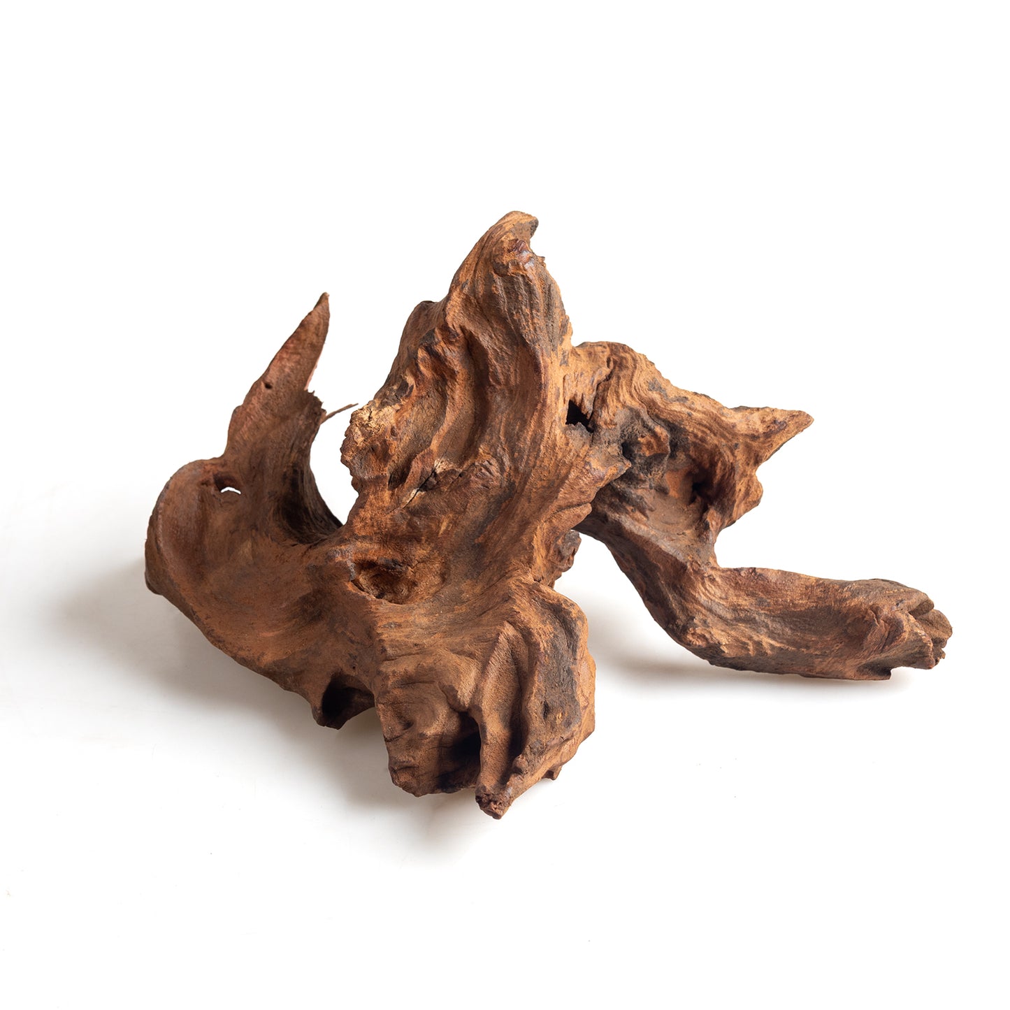 Small Natural Driftwood 5-Pack, 4–6 Inch Aquarium Wood for Aquascaping, Fish Tanks & Terrariums