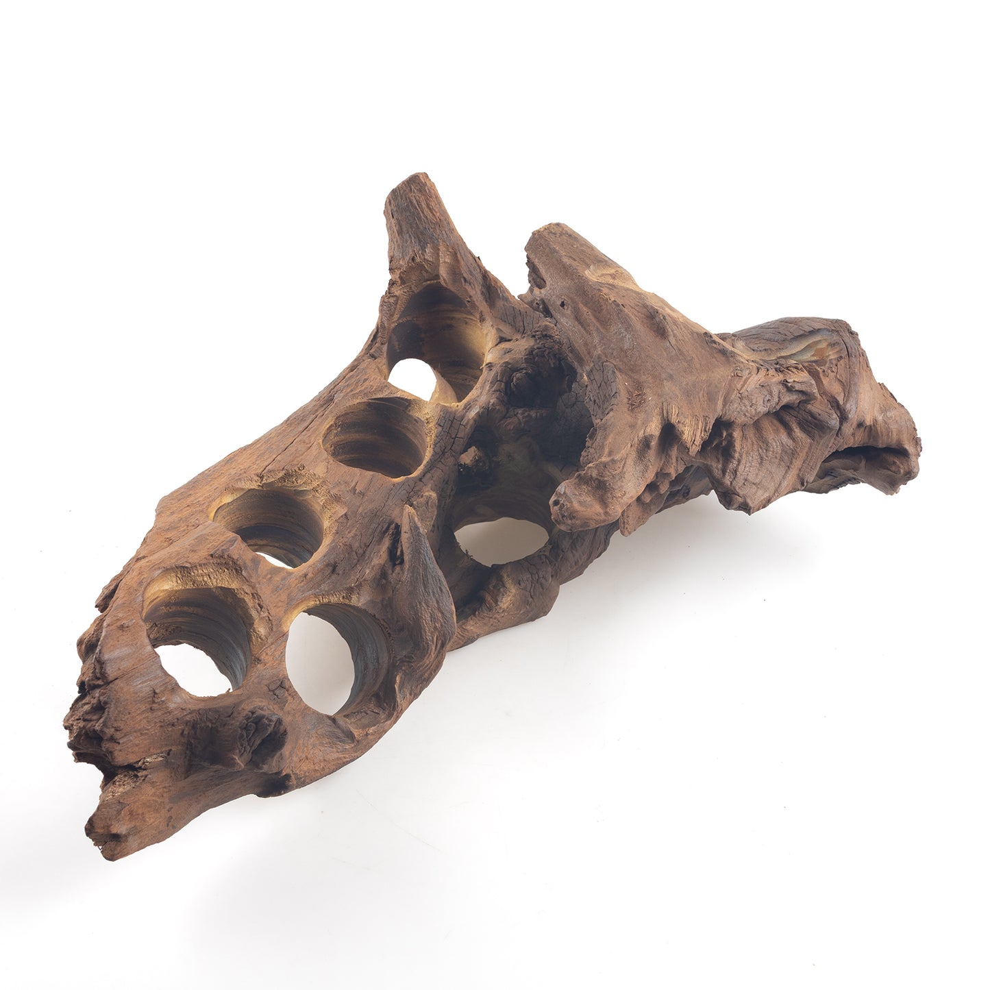 WYSIWYG Premium Natural Driftwood for Aquascaping – Exact Piece Shown A5