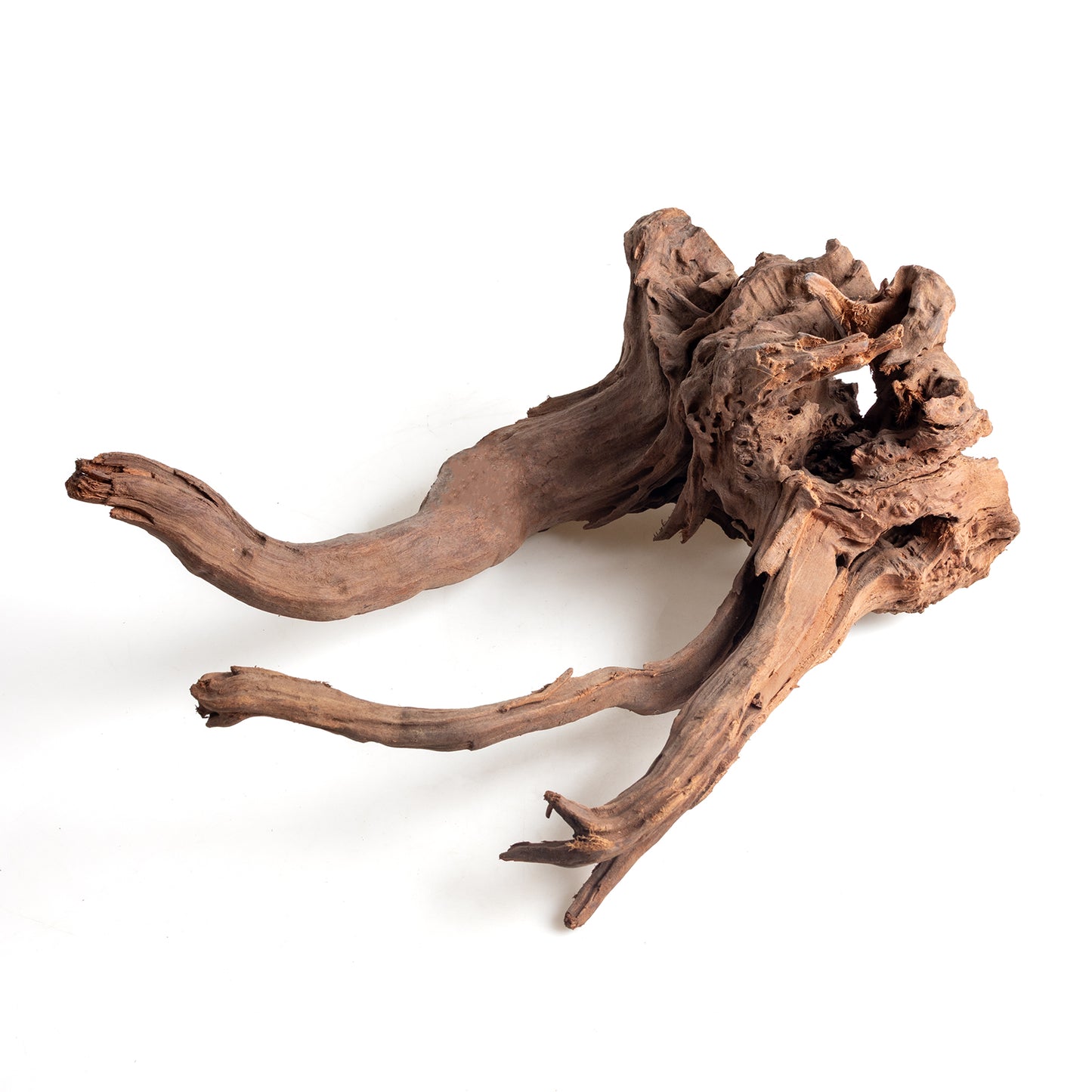 WYSIWYG Premium Natural Driftwood for Aquascaping – Exact Piece Shown A6
