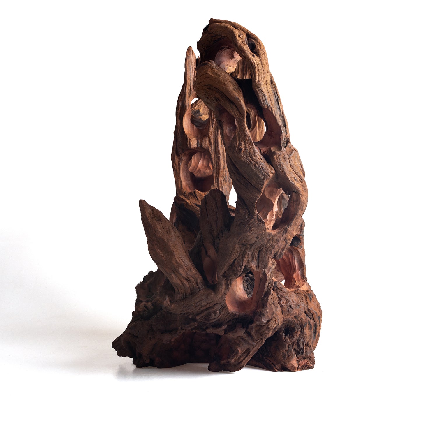 WYSIWYG Premium Natural Driftwood for Aquascaping – Exact Piece Shown A18