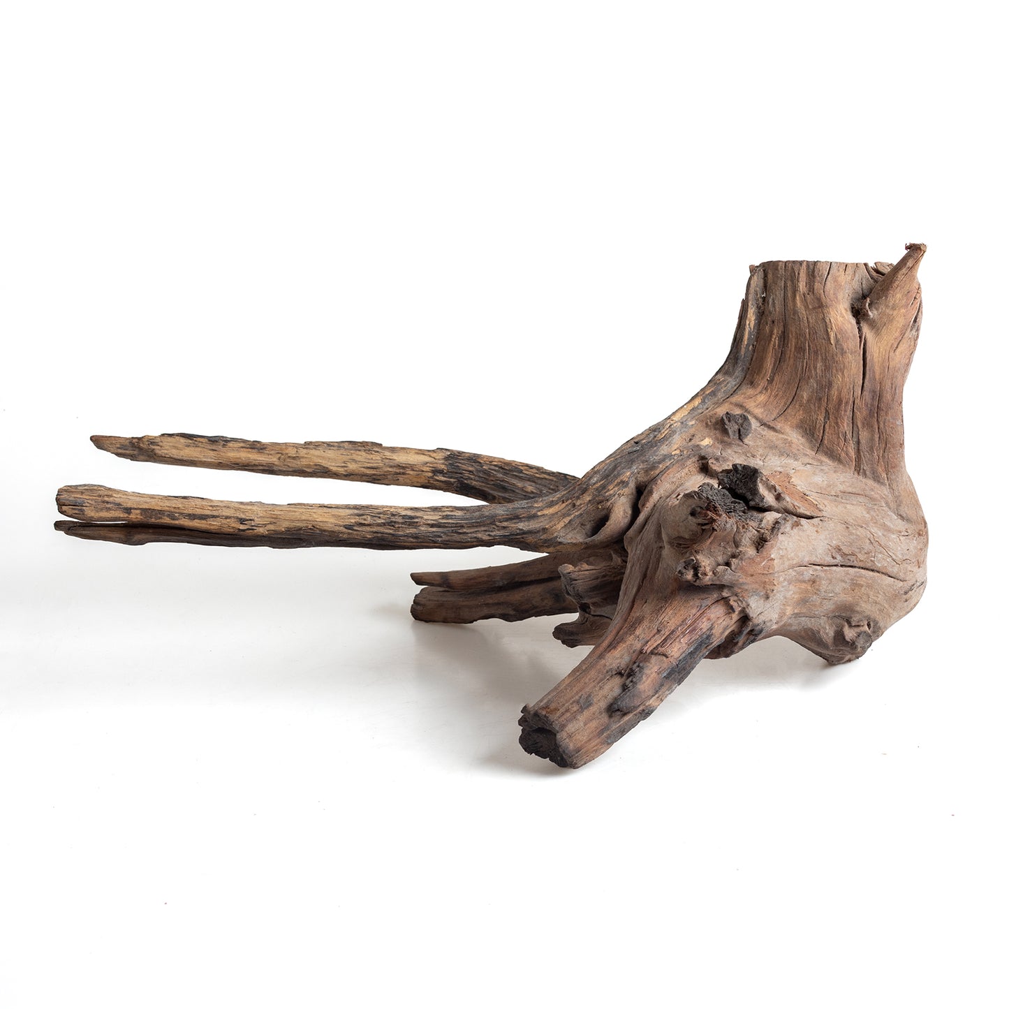 WYSIWYG Premium Natural Driftwood for Aquascaping – Exact Piece Shown A7