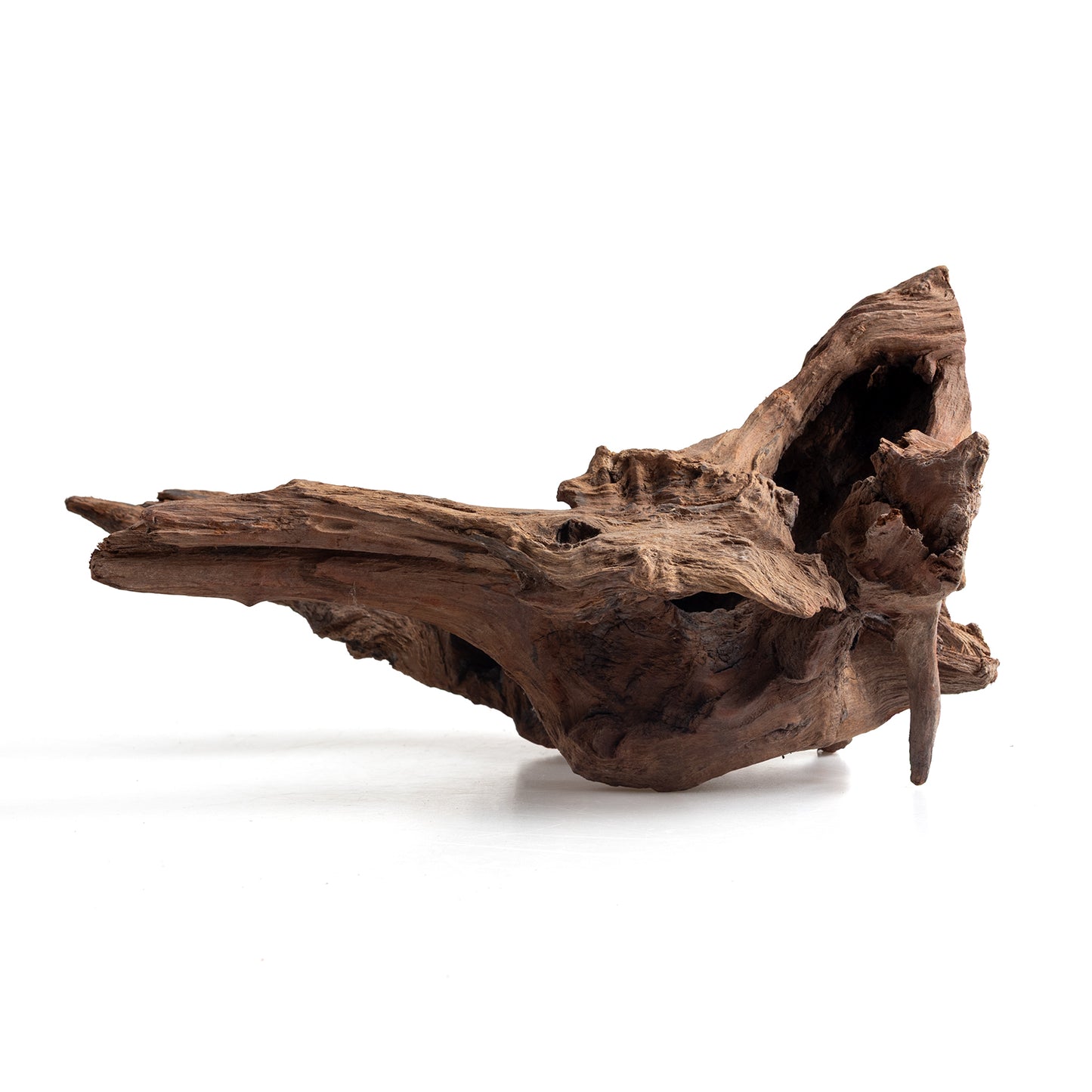 WYSIWYG Premium Natural Driftwood for Aquascaping – Exact Piece Shown A4