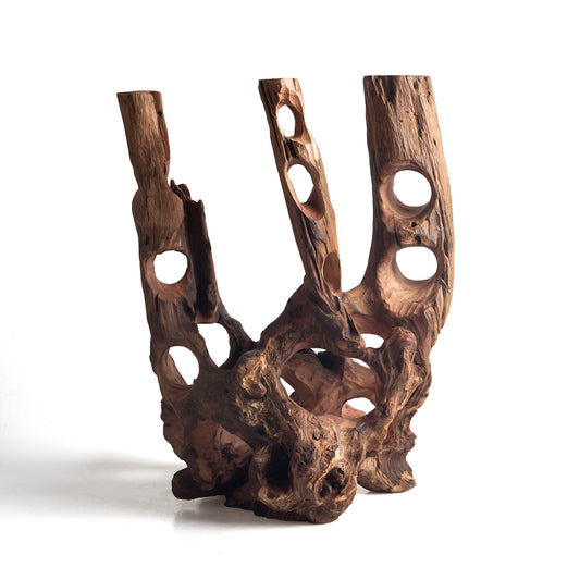WYSIWYG Premium Natural Driftwood for Aquascaping – Exact Piece Shown A21