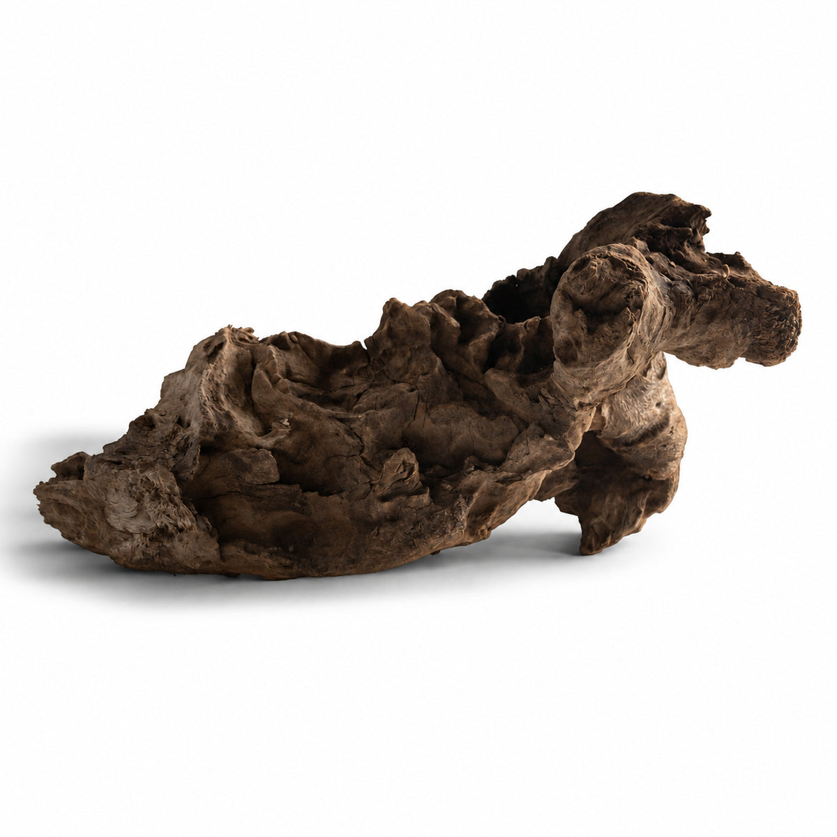 Natural Multiayer Wood – Unique Driftwood for Aquarium Aquascaping, Terrarium & Reptile Habitat Decor