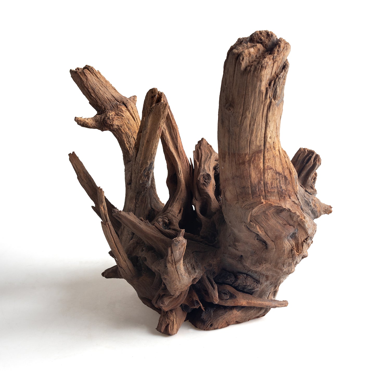 WYSIWYG Premium Natural Driftwood for Aquascaping – Exact Piece Shown A16
