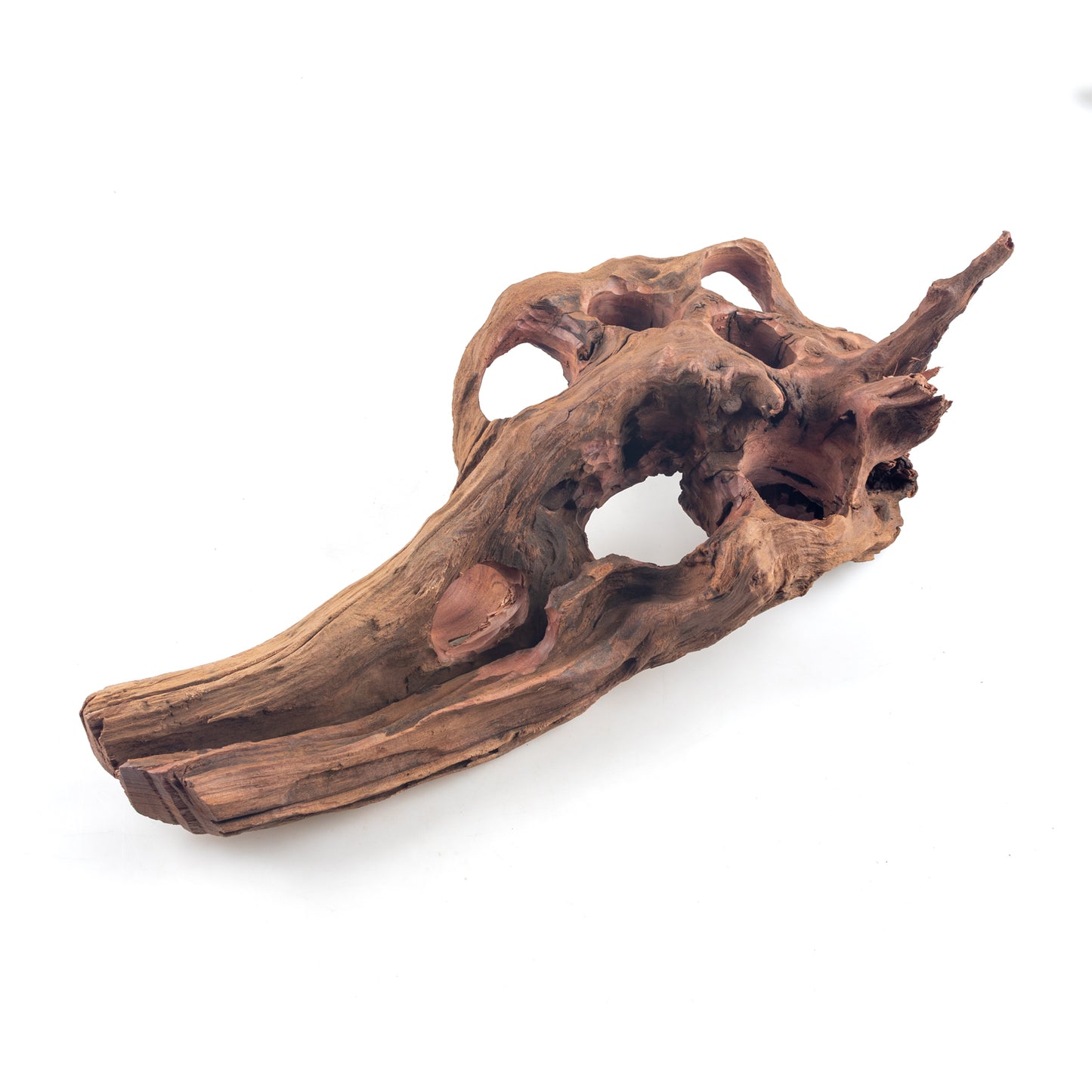 WYSIWYG Premium Natural Driftwood for Aquascaping – Exact Piece Shown A9