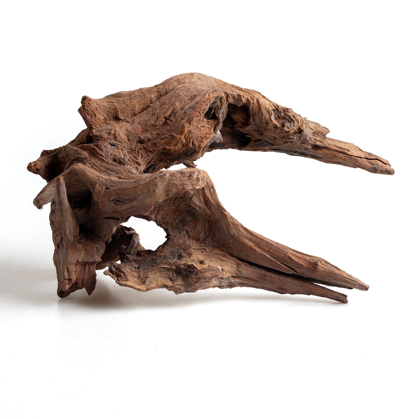 WYSIWYG Premium Natural Driftwood for Aquascaping – Exact Piece Shown A4
