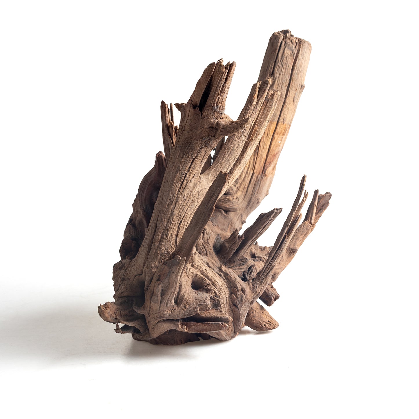 WYSIWYG Premium Natural Driftwood for Aquascaping – Exact Piece Shown A16