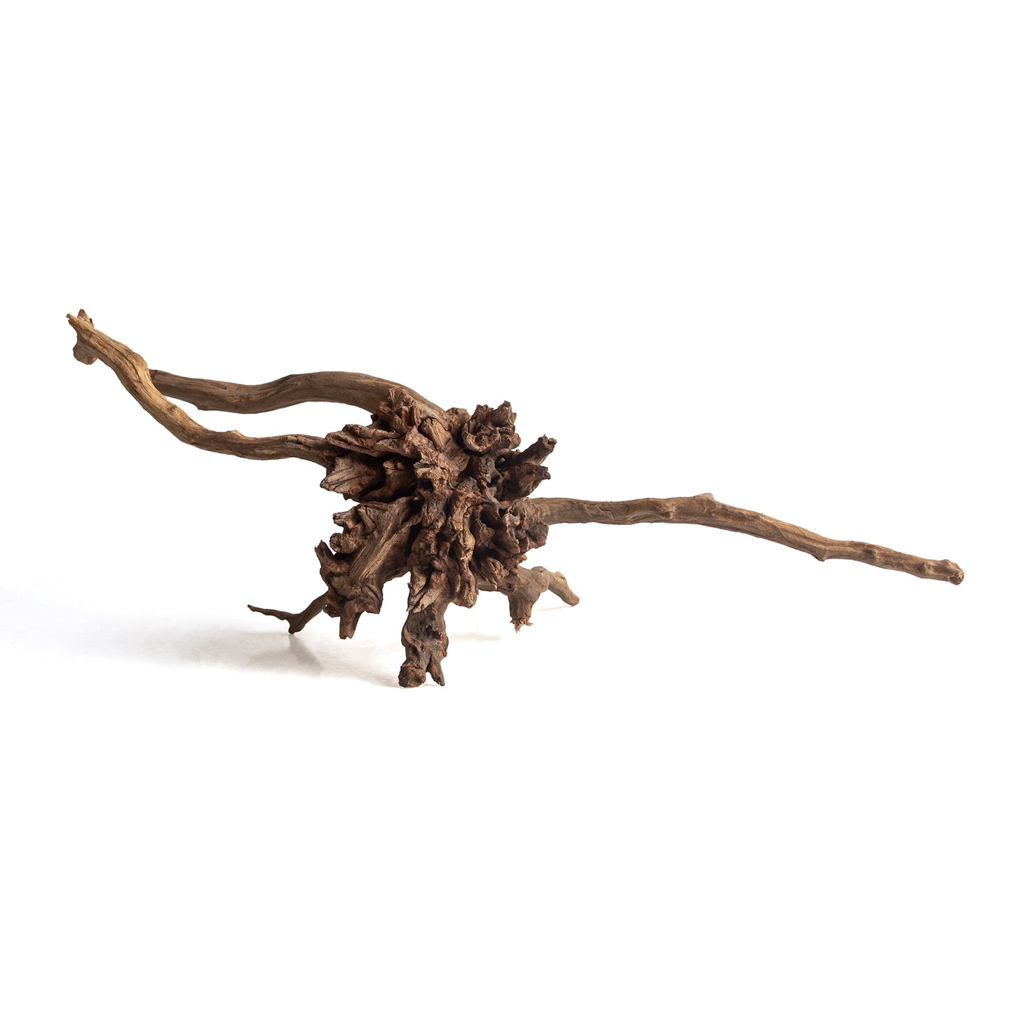 Natural Black Slim Wood Driftwood for Aquariums & Terrariums – Random Shape, 3 Sizes
