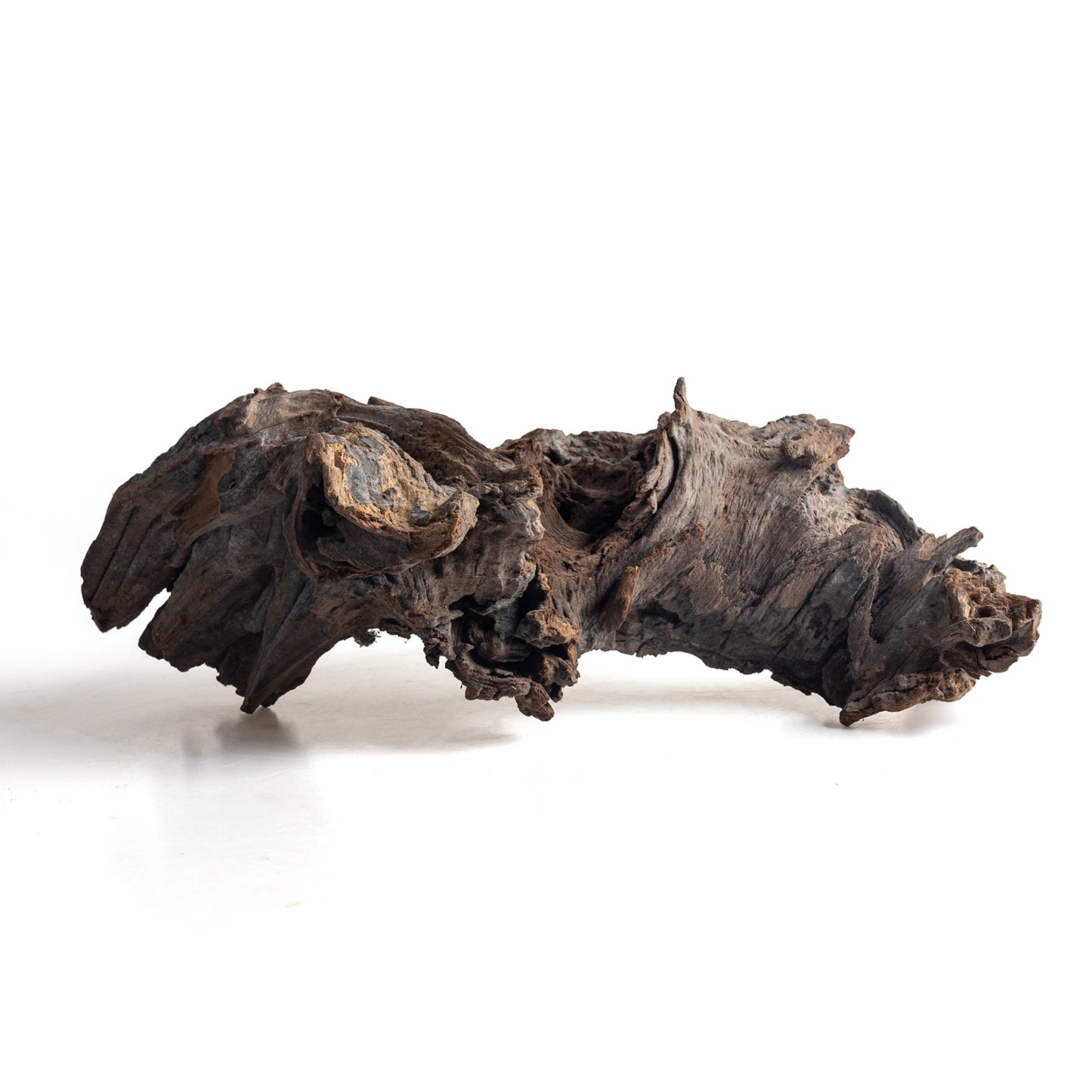 WYSIWYG Premium Natural Driftwood for Aquascaping – Exact Piece Shown A14