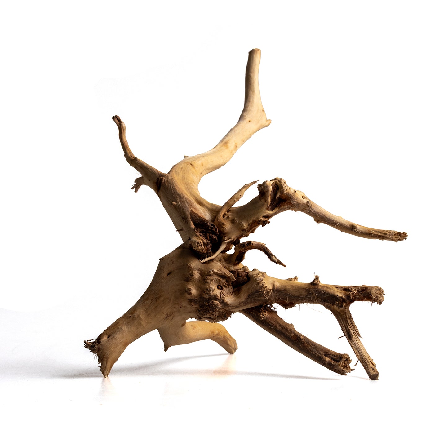 Natural Wood Root Driftwood for Aquariums & Terrariums – Random Unique Shape, 3 Sizes