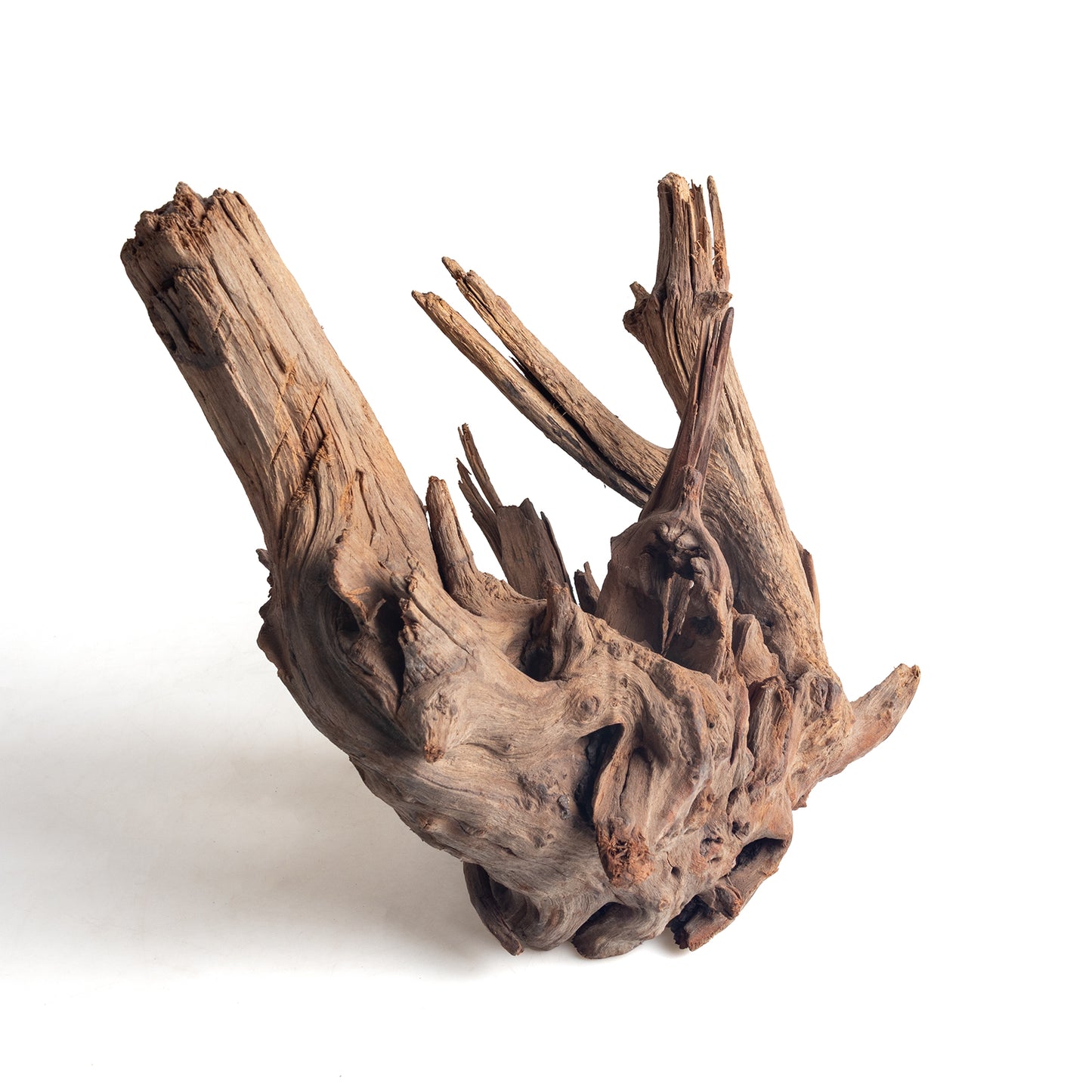 WYSIWYG Premium Natural Driftwood for Aquascaping – Exact Piece Shown A16