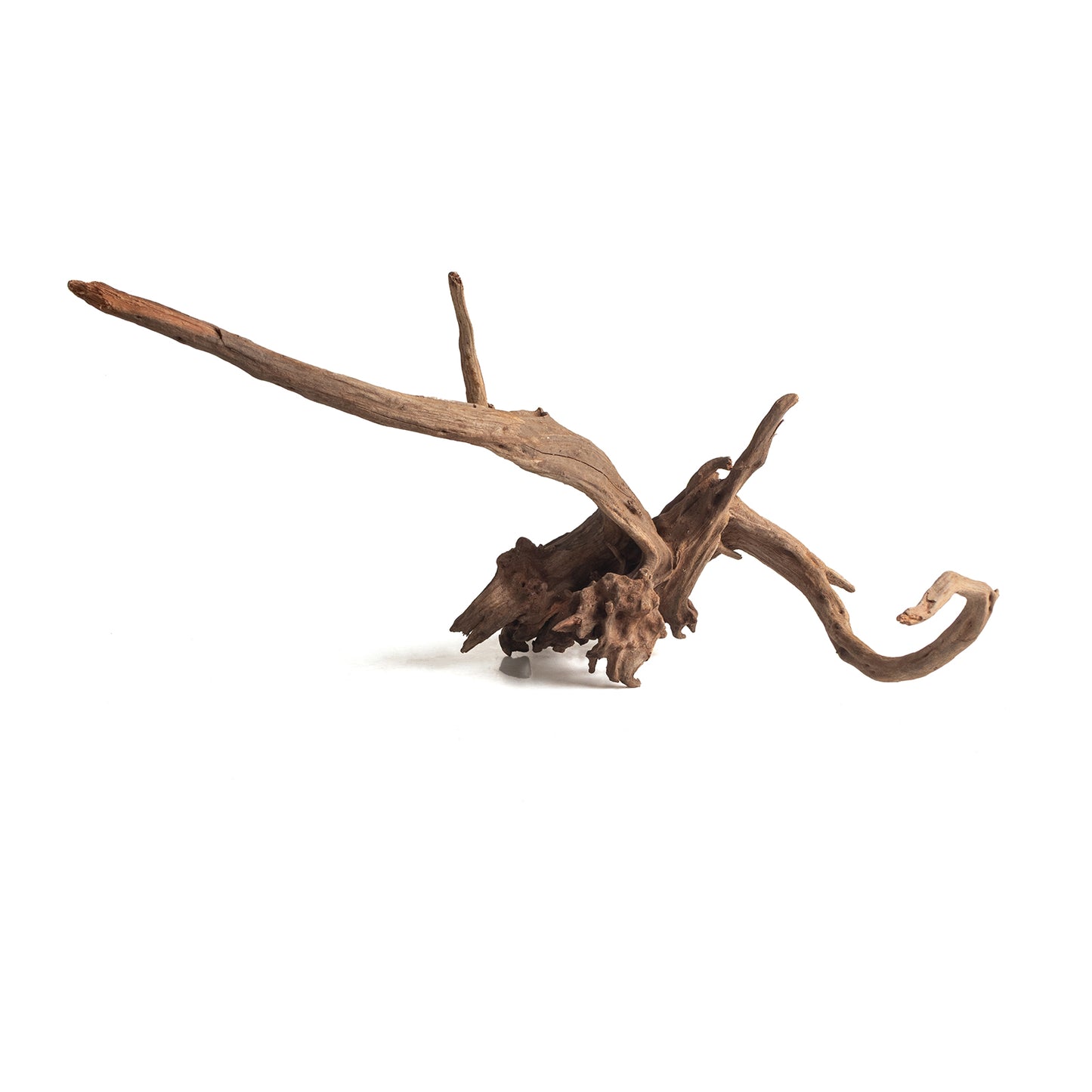 Natural Black Slim Wood Driftwood for Aquariums & Terrariums – Random Shape, 3 Sizes