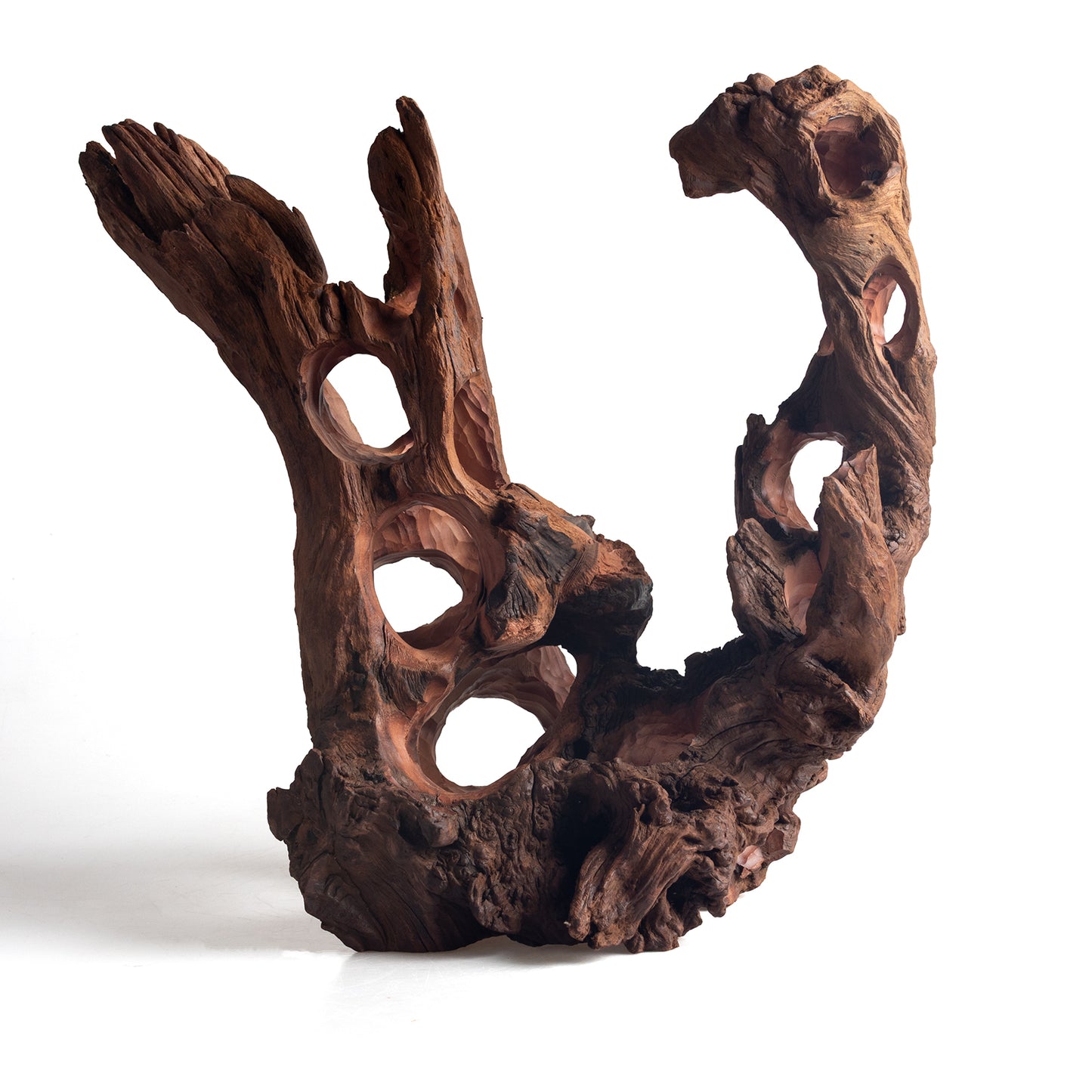 WYSIWYG Premium Natural Driftwood for Aquascaping – Exact Piece Shown A18
