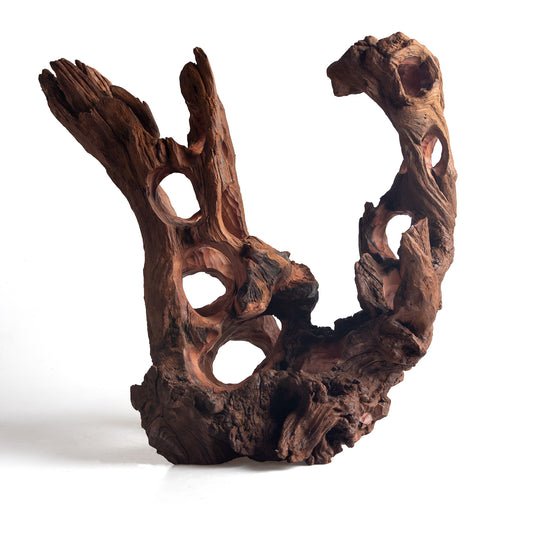 WYSIWYG Premium Natural Driftwood for Aquascaping – Exact Piece Shown A18