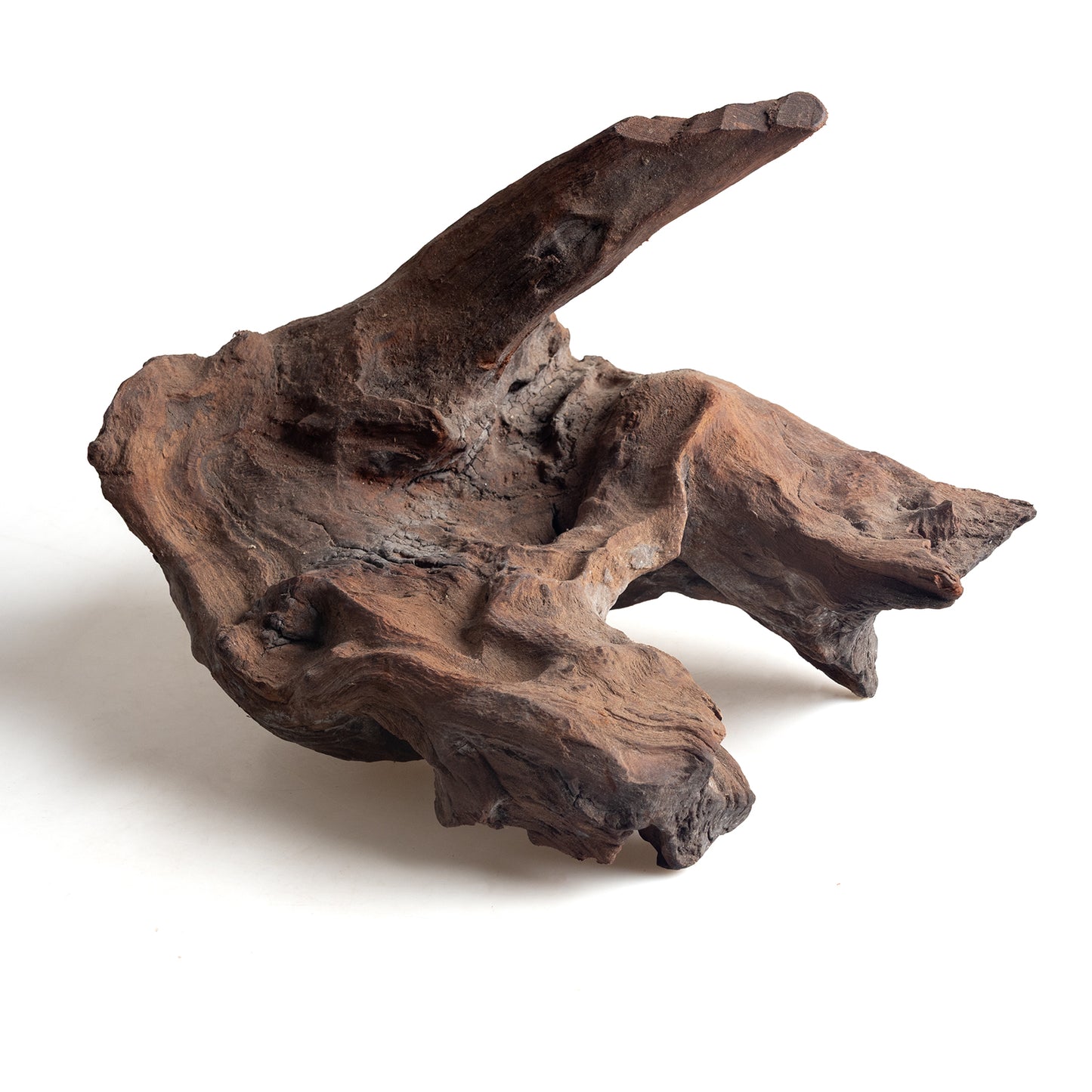 WYSIWYG Premium Natural Driftwood for Aquascaping – Exact Piece Shown A15