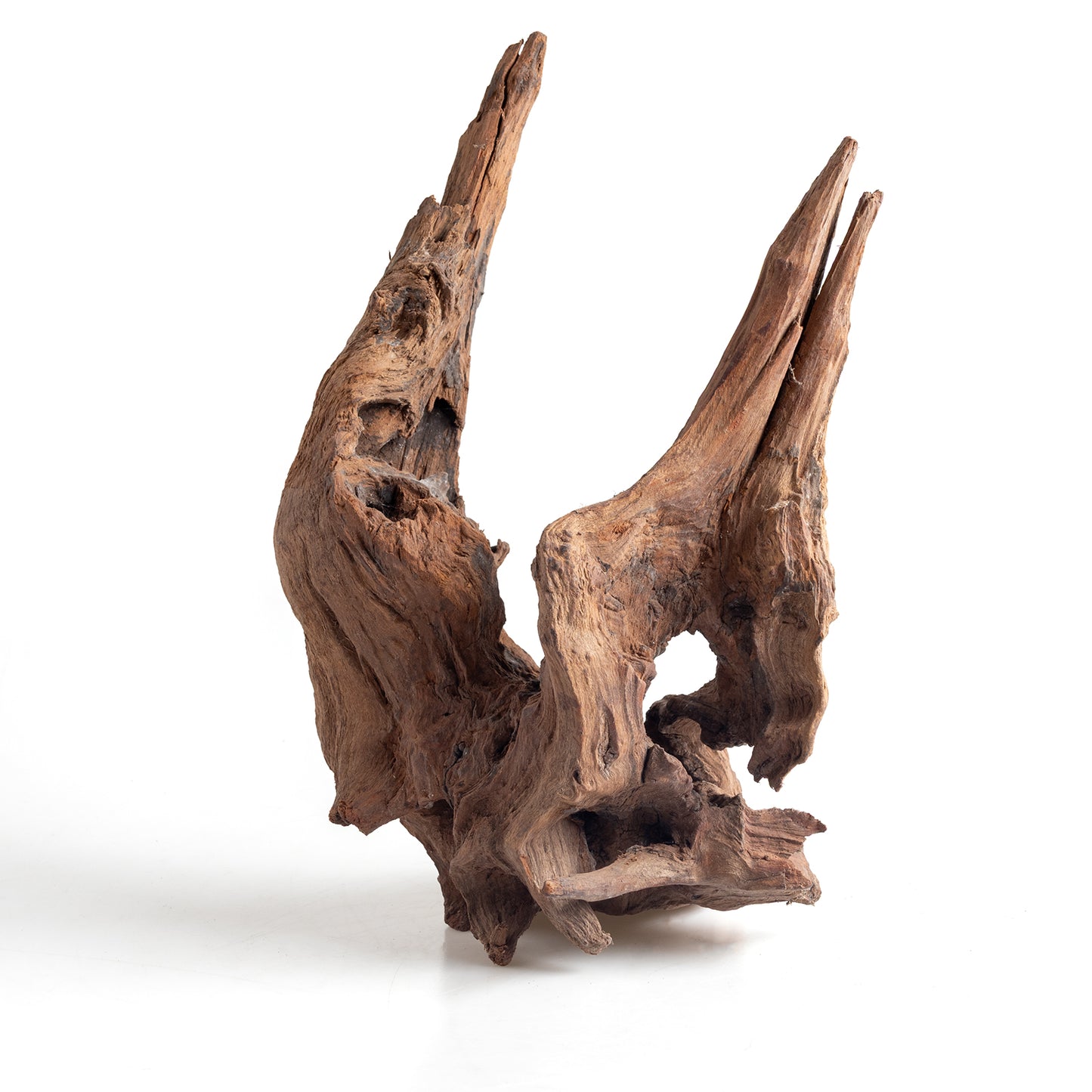 WYSIWYG Premium Natural Driftwood for Aquascaping – Exact Piece Shown A4
